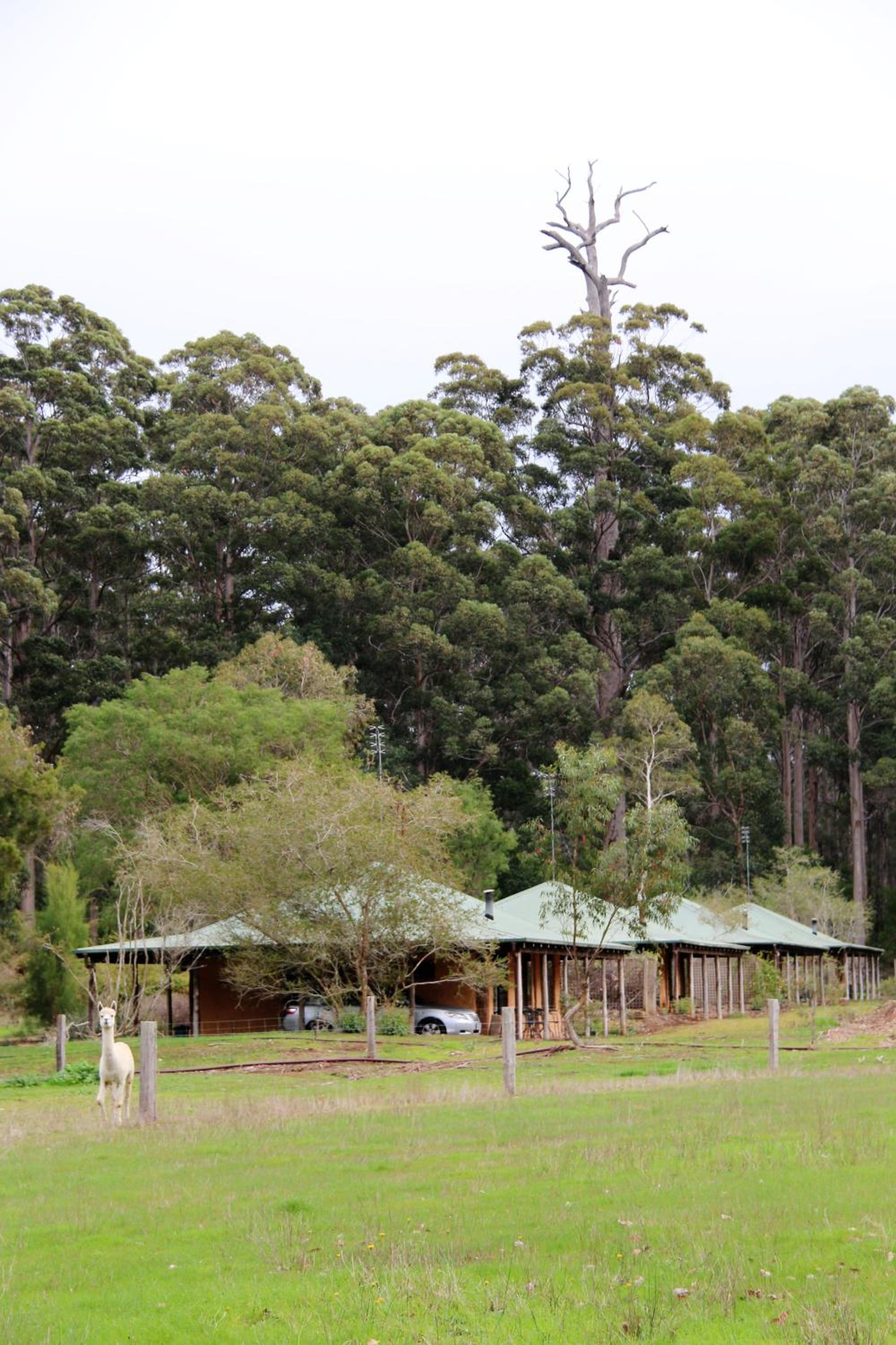 Mudbrick Cottage - Four photo 2