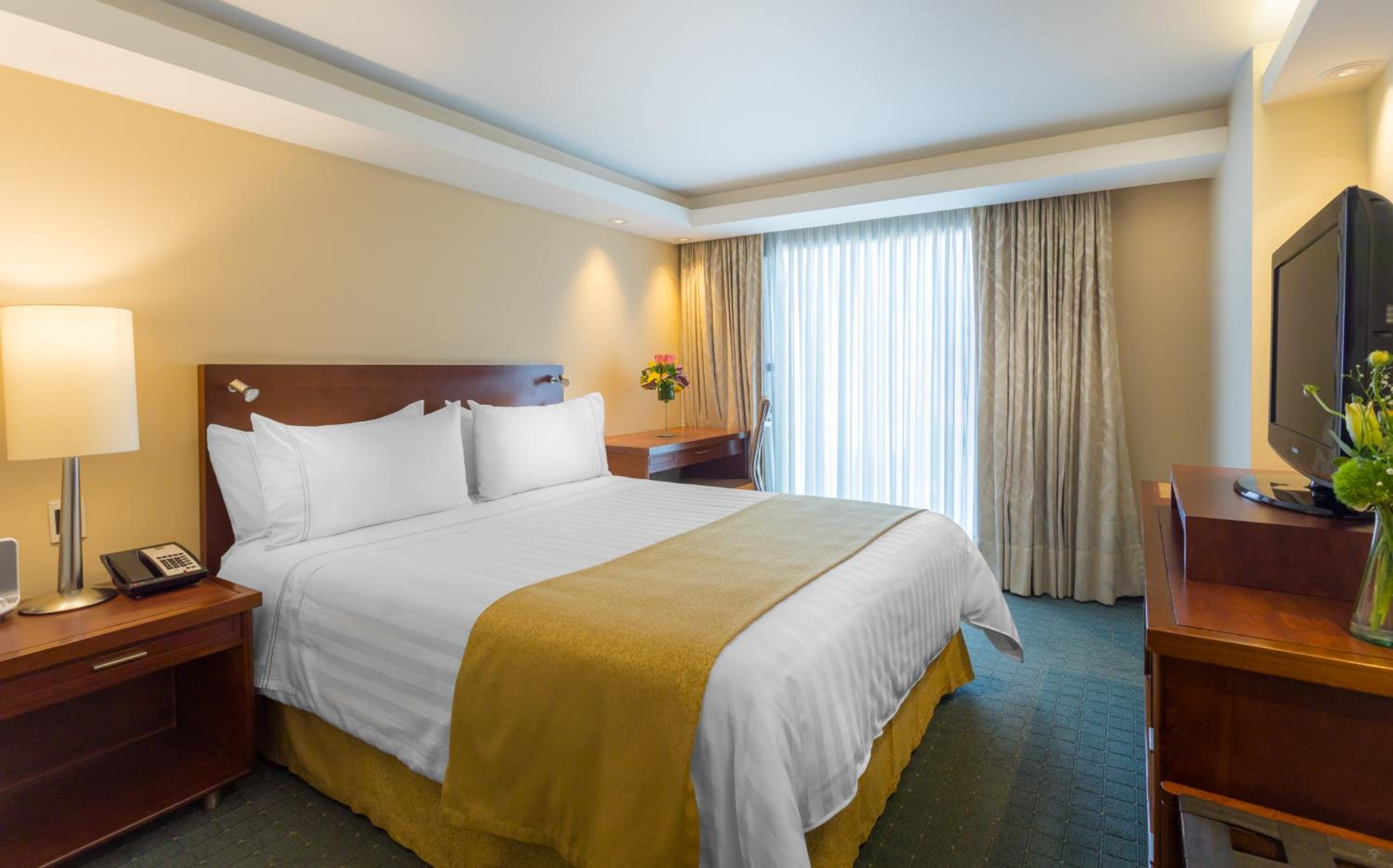 Junior Suite - Photo 4
