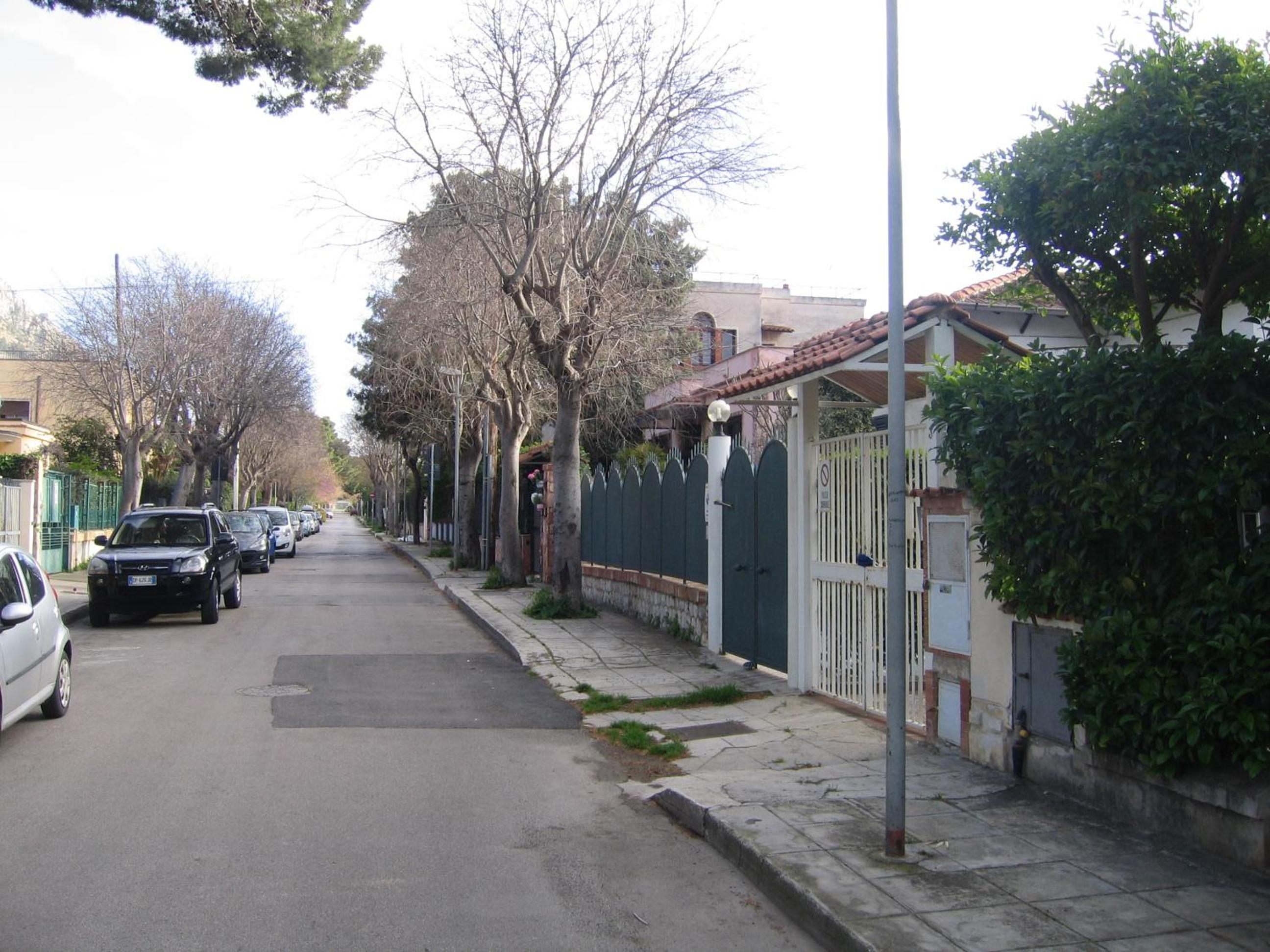 Apartment with Garden View photo 3