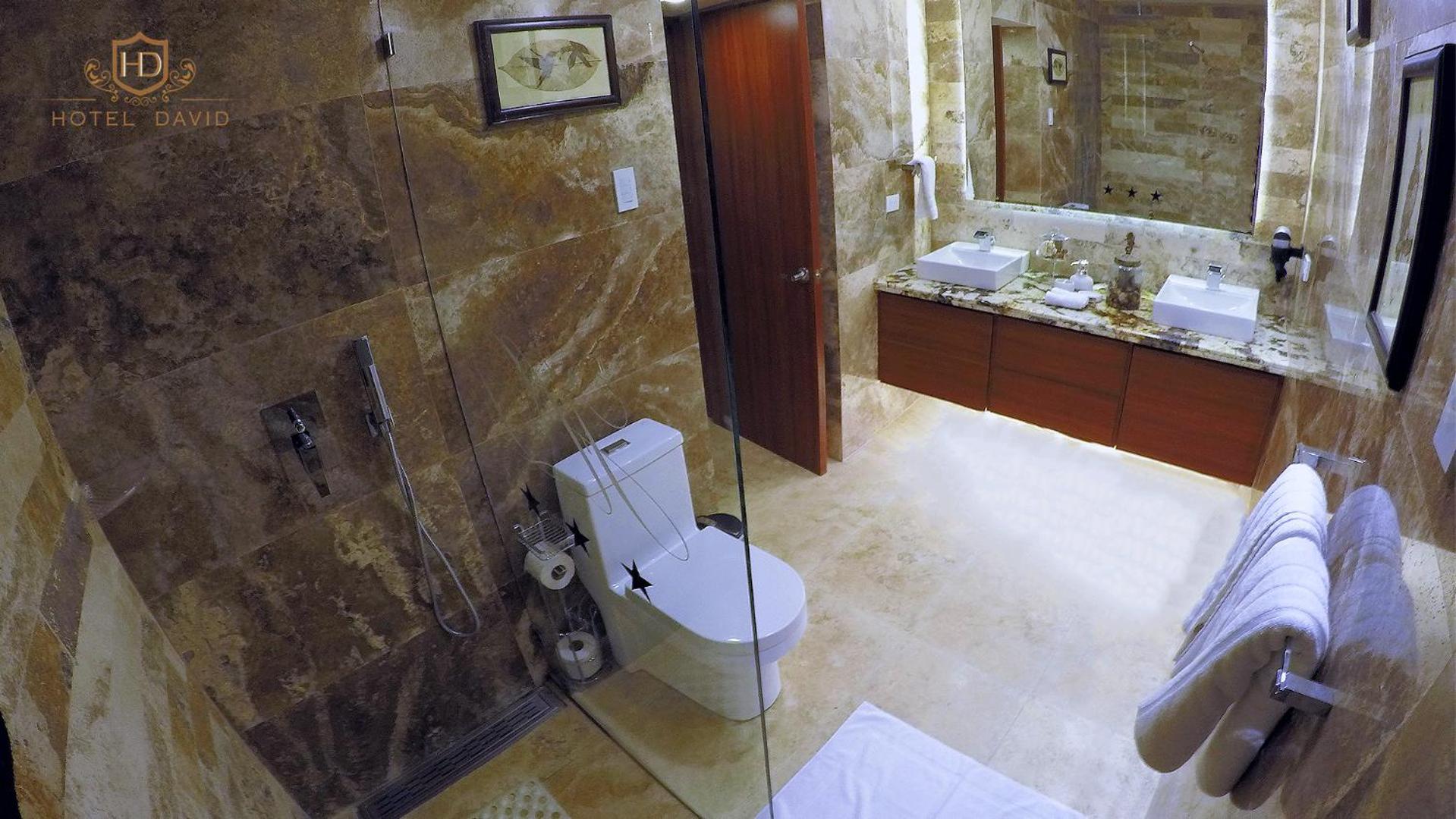 Hotel David — photo 80