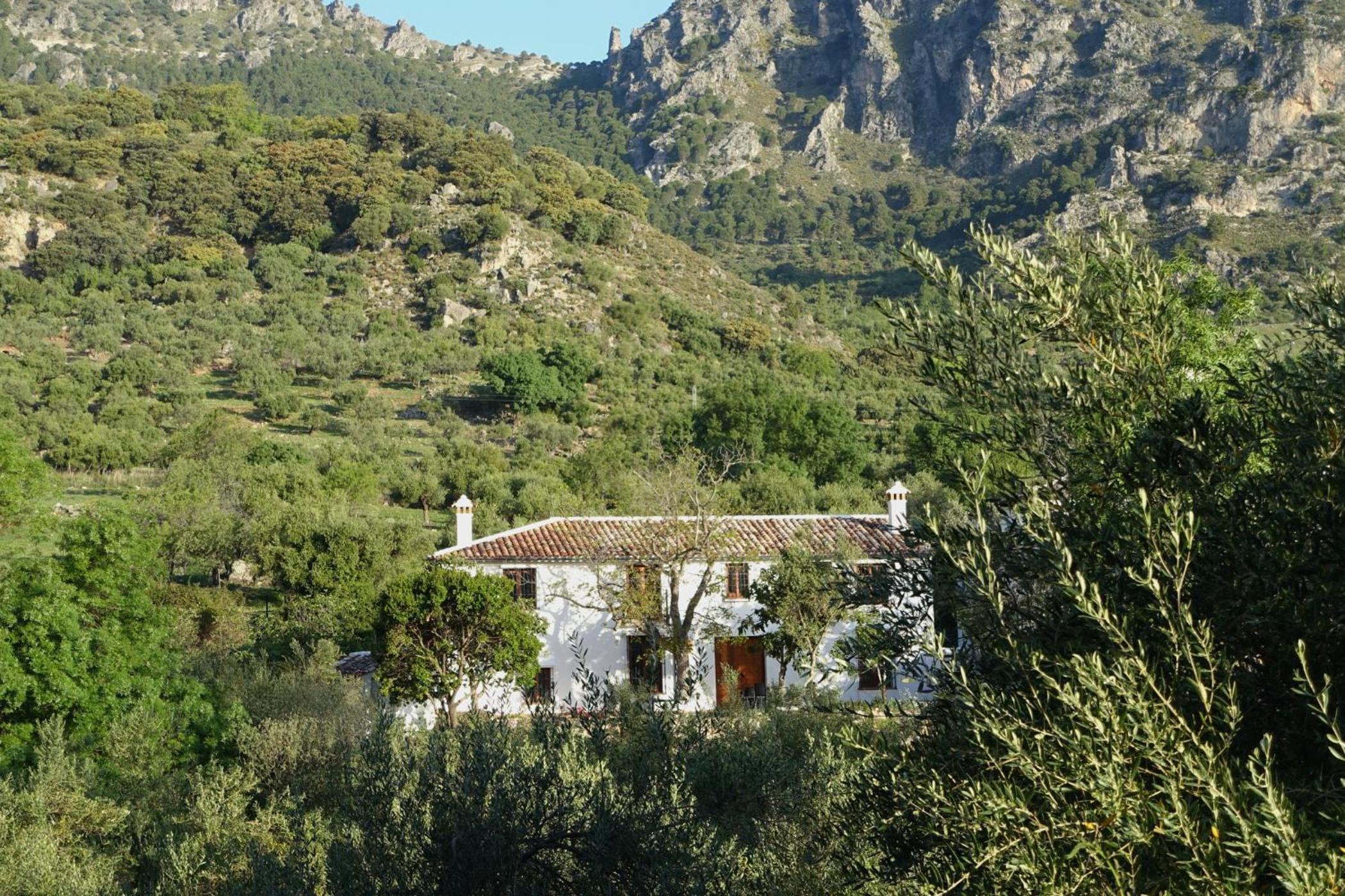 Three-Bedroom Villa photo 3