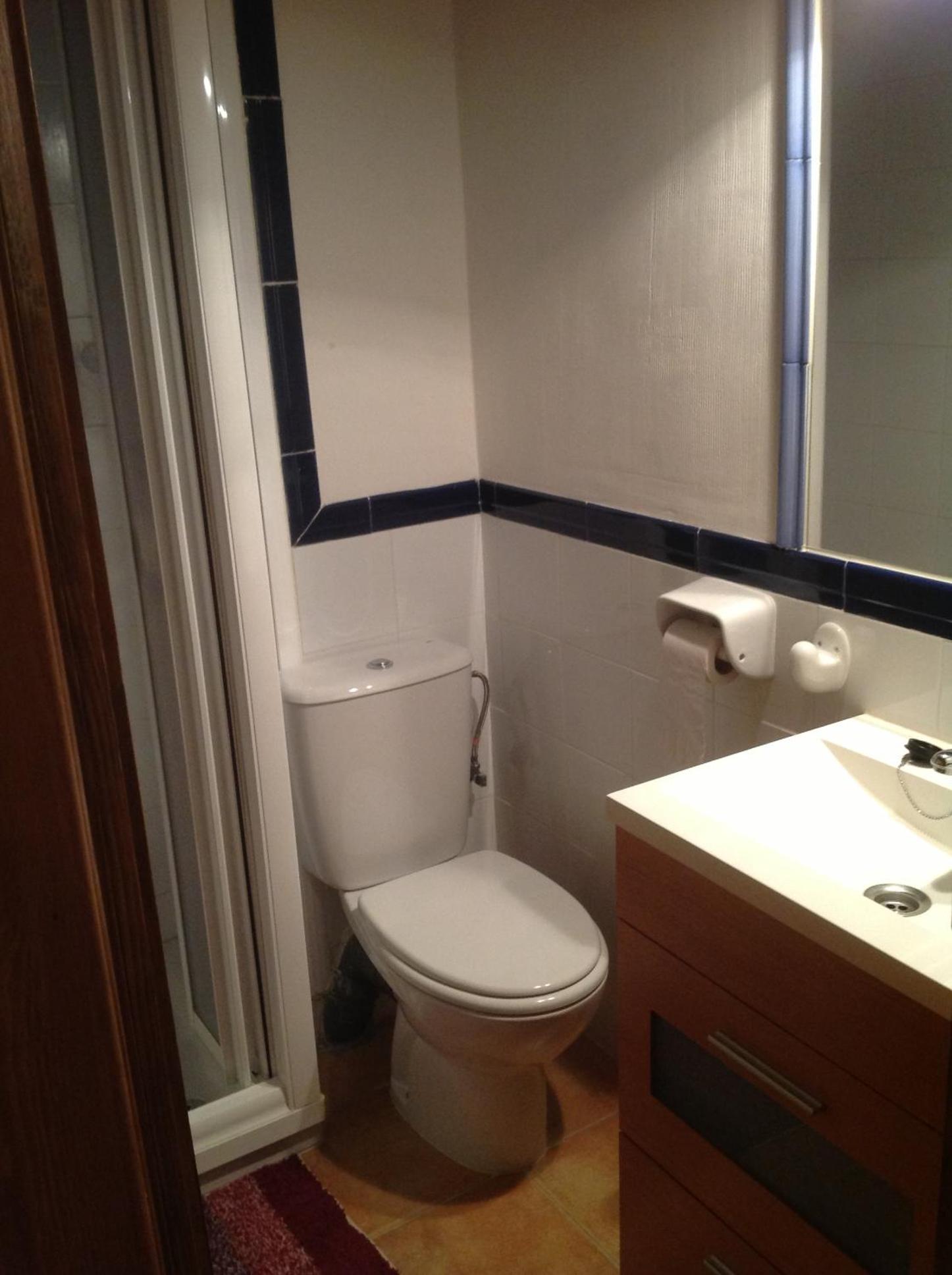 Duplex Apartment photo 3