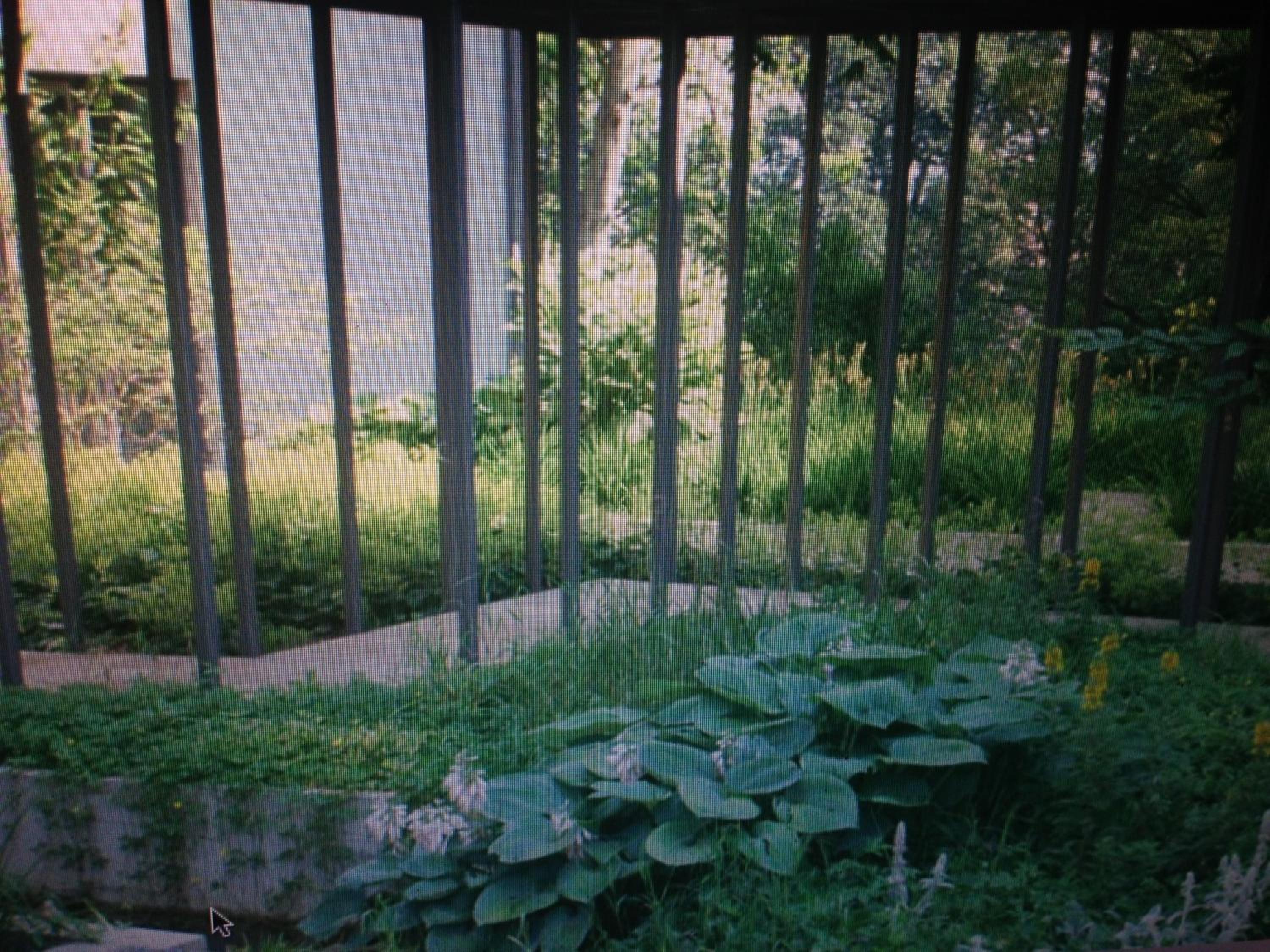Apartment with Terrace photo 3