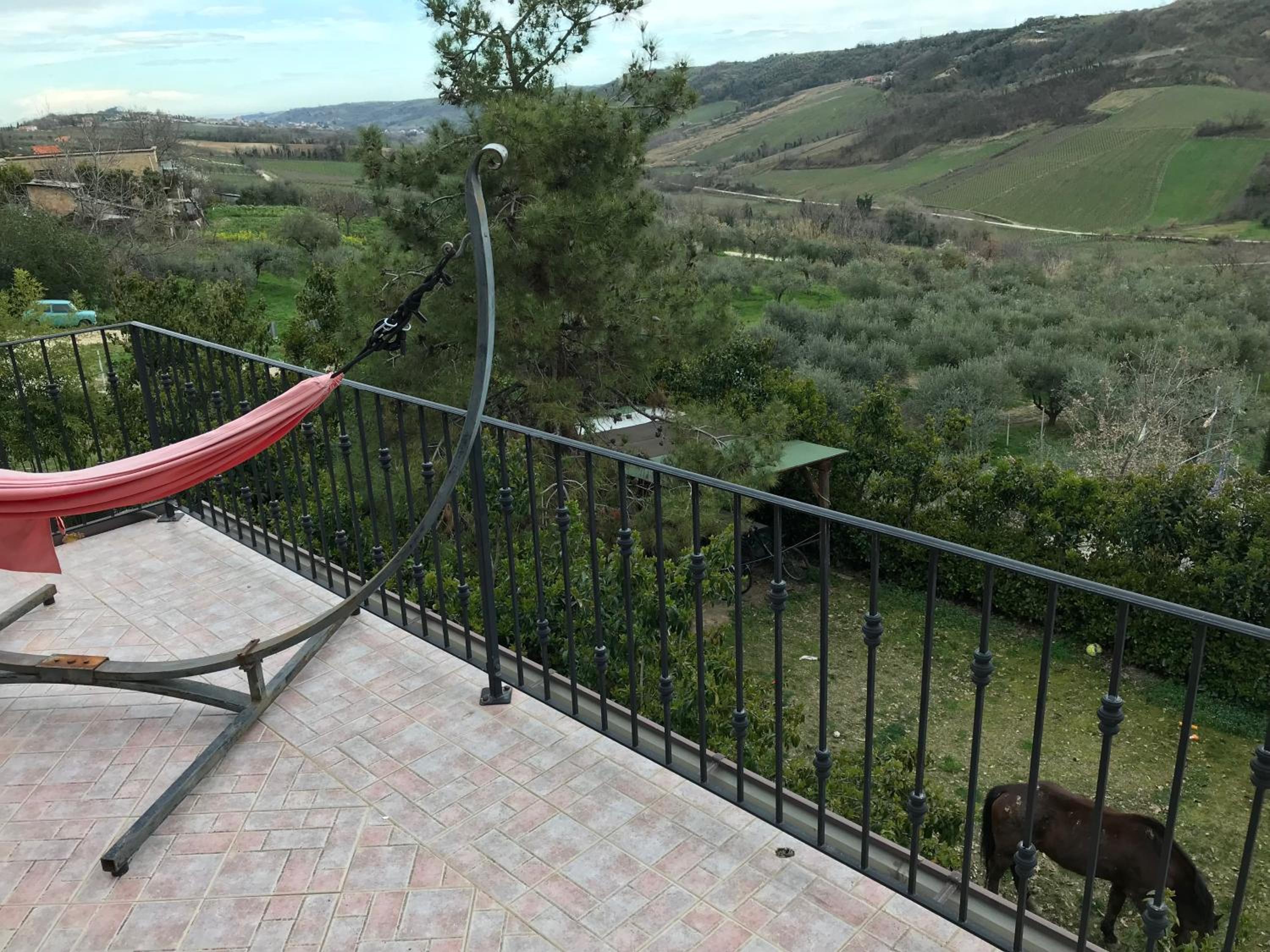 King Suite with Balcony photo 2