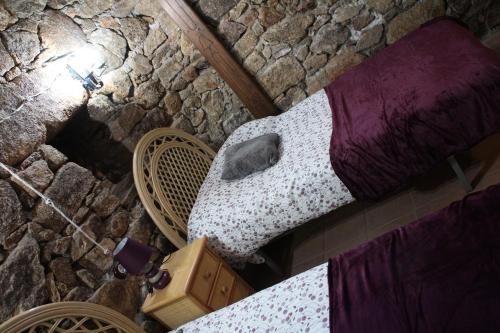 Twin Room photo 3
