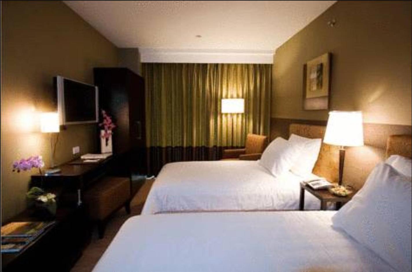 Deluxe Double or Twin Room - Photo 7