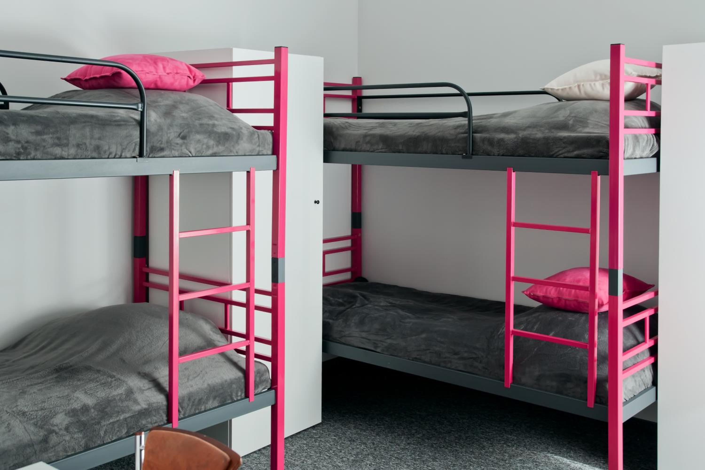 Bunk Bed in Mixed Dormitory Room photo 3