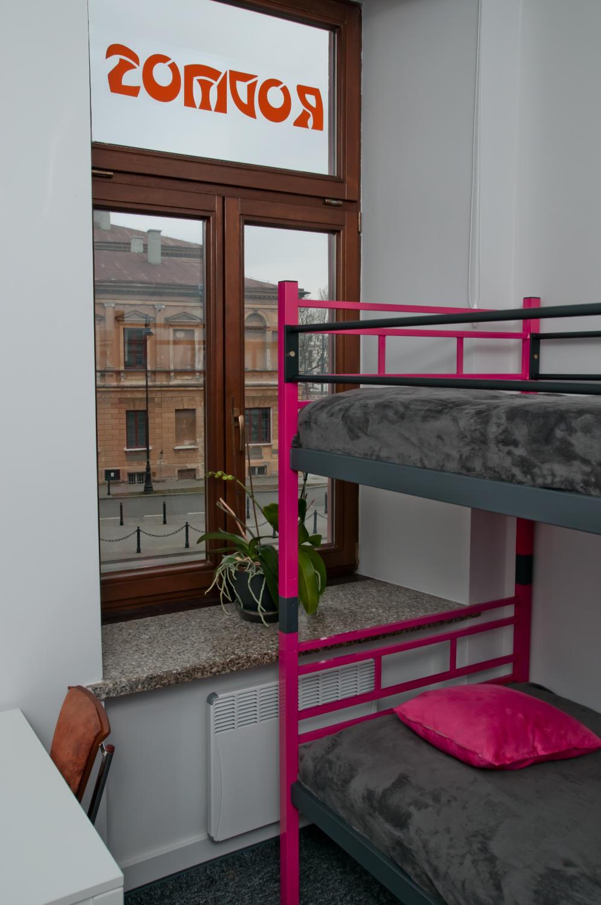 Bunk Bed in Mixed Dormitory Room photo 2