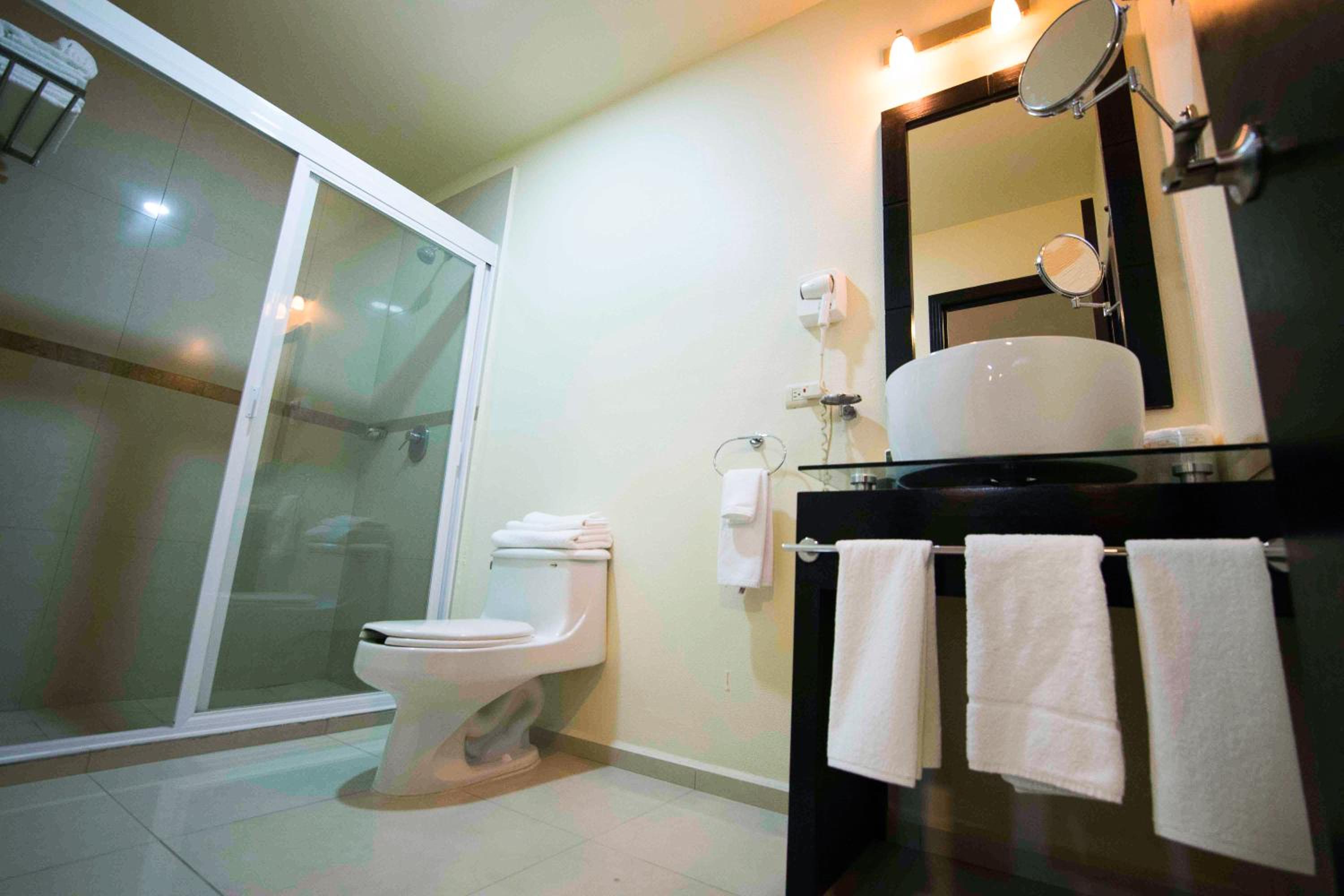 Suite - Photo 8