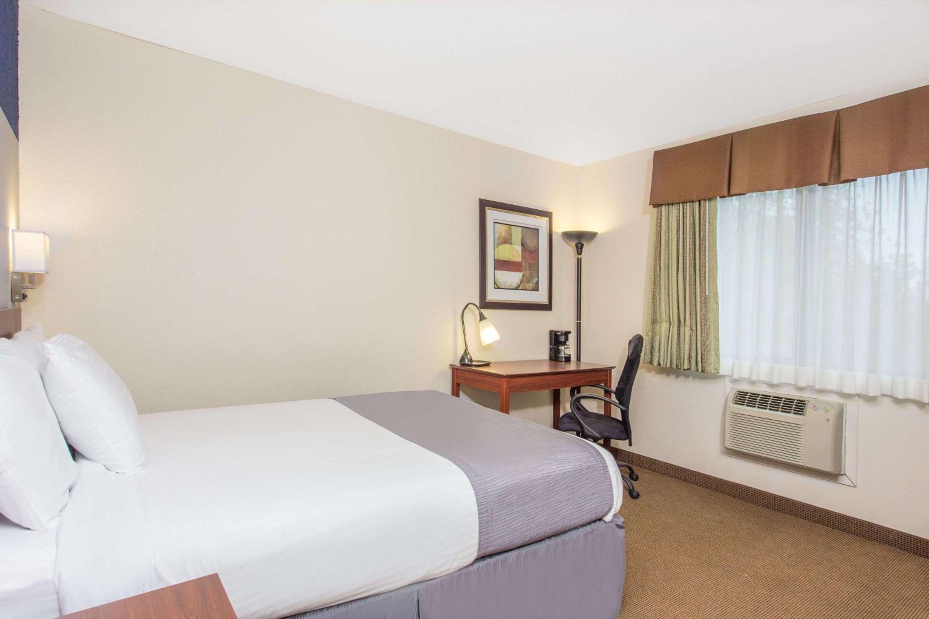 Triple Studio Suite - Non-Smoking - Photo 3