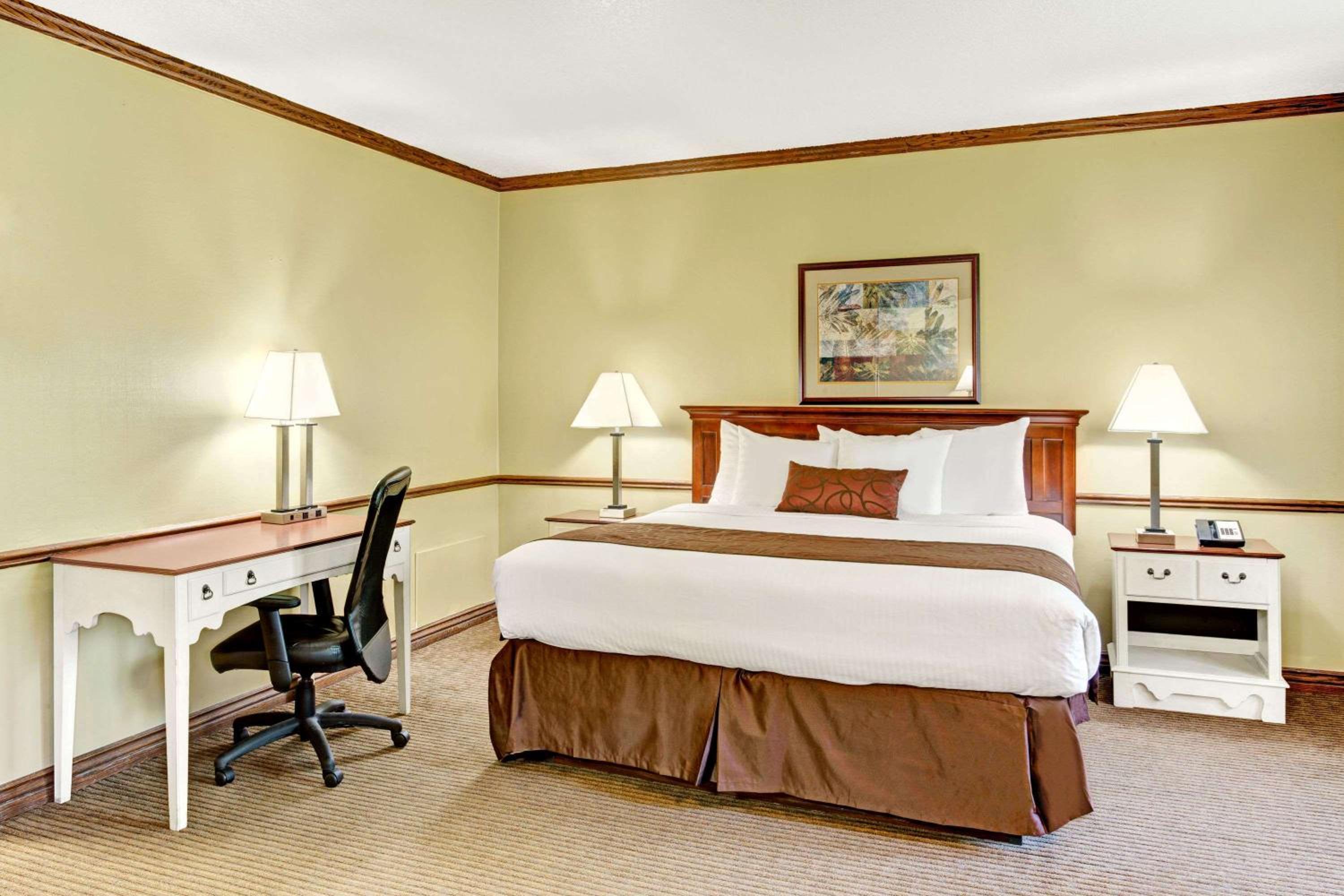 King Room - Pet Friendly/Non-Smoking - Photo 1