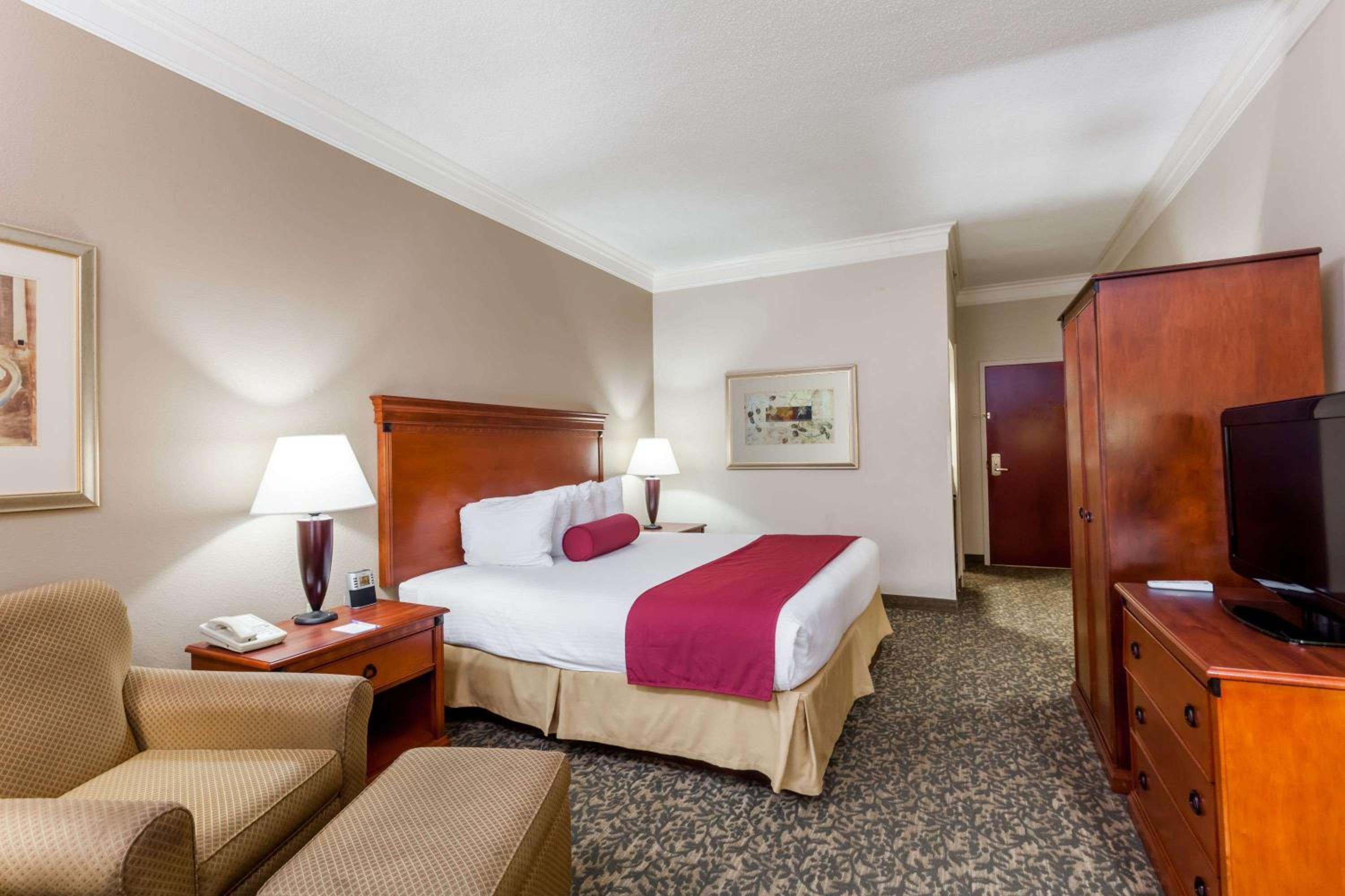 Deluxe King Suite - Non-Smoking - Photo 1