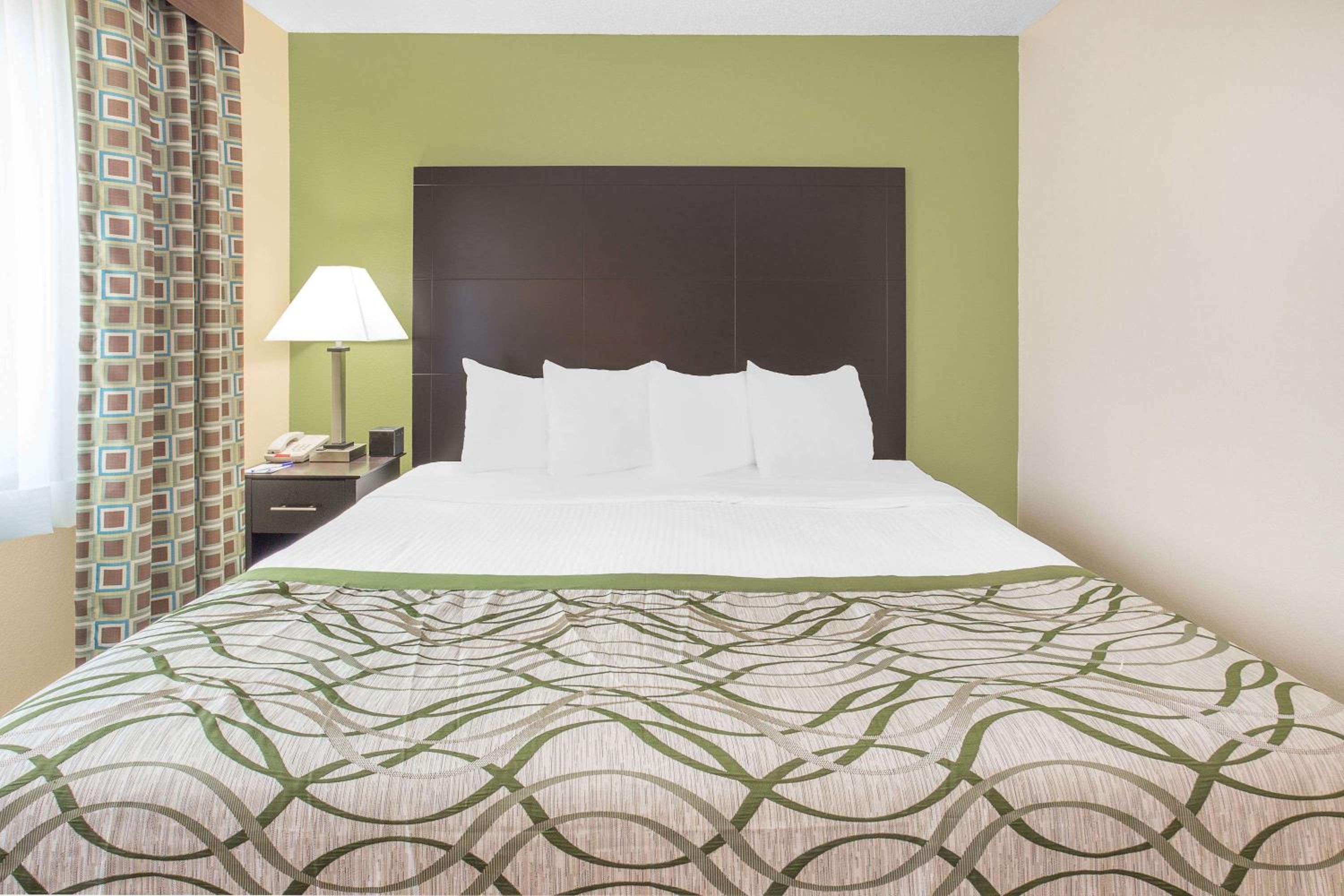 King Room - Pet Friendly/Non-Smoking photo 2