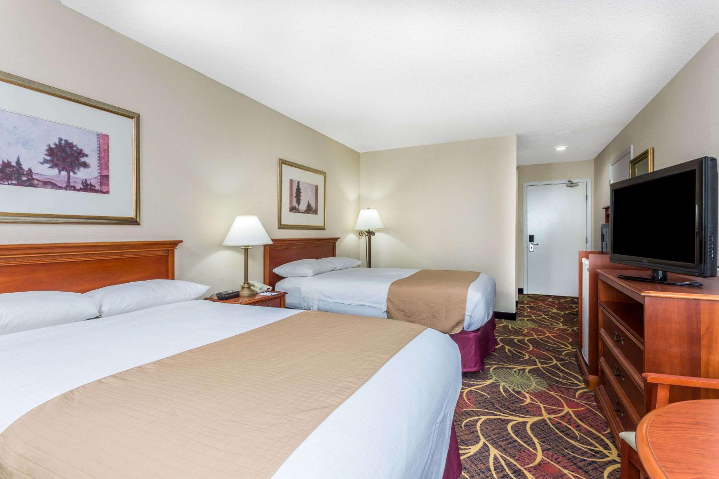 Studio Suite with Two Double Beds - Non-Smoking
