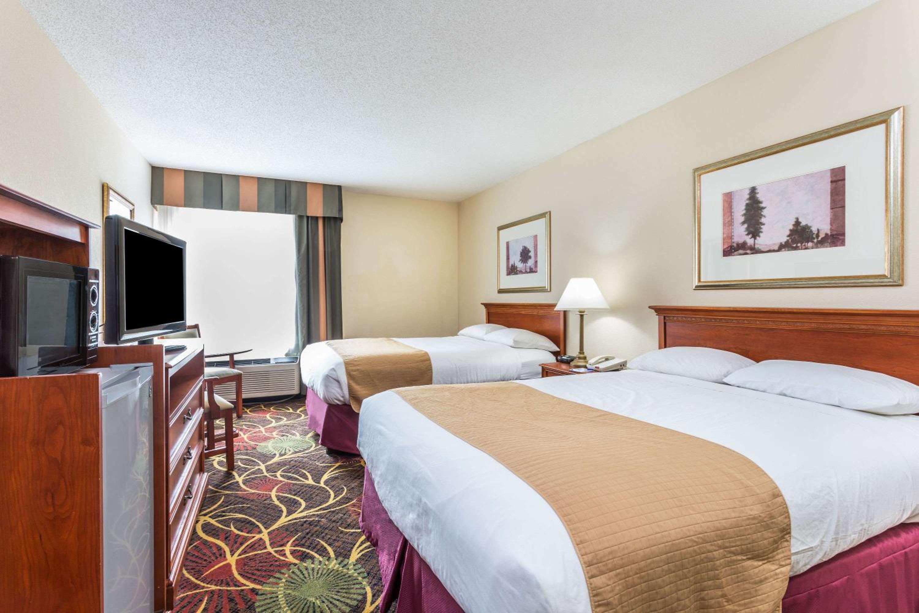 Studio Suite with Two Double Beds - Non-Smoking photo 2