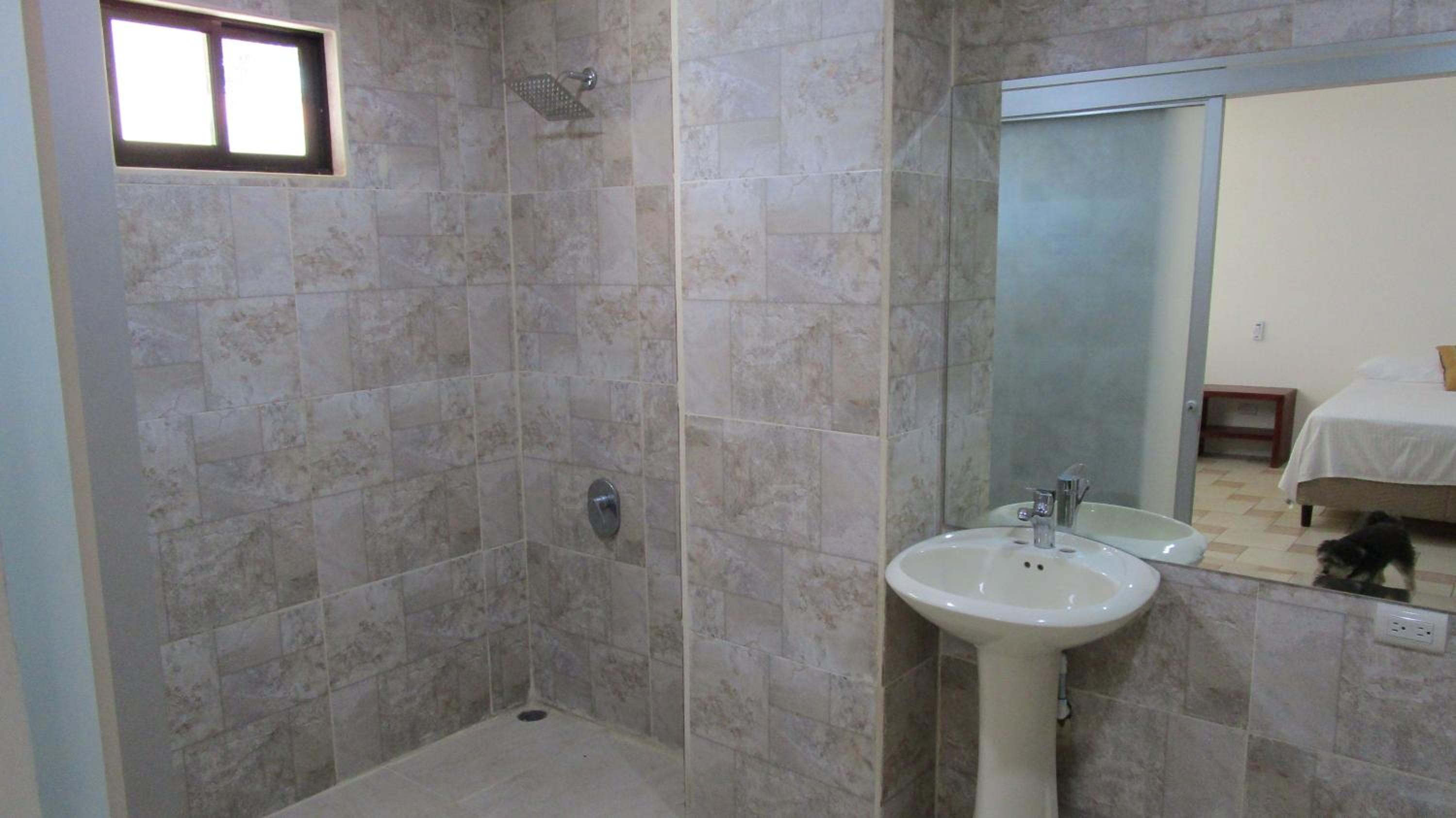 Standard Double Room with Two Double Beds photo 2
