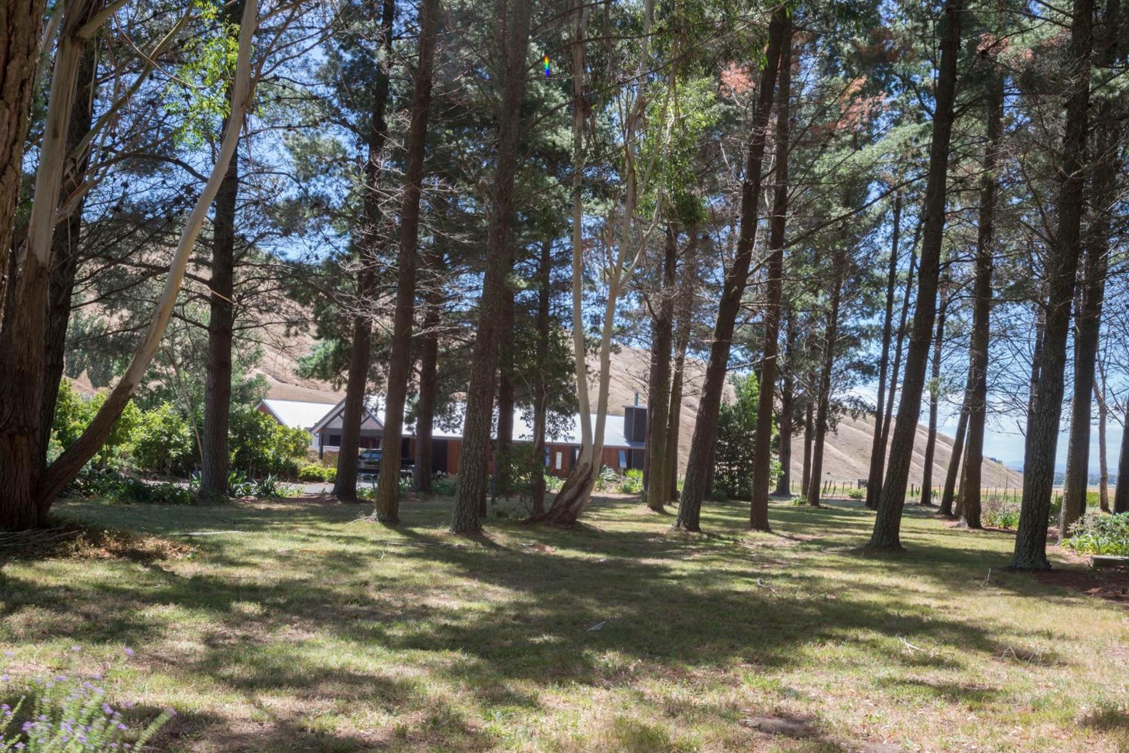 Chalet photo 2