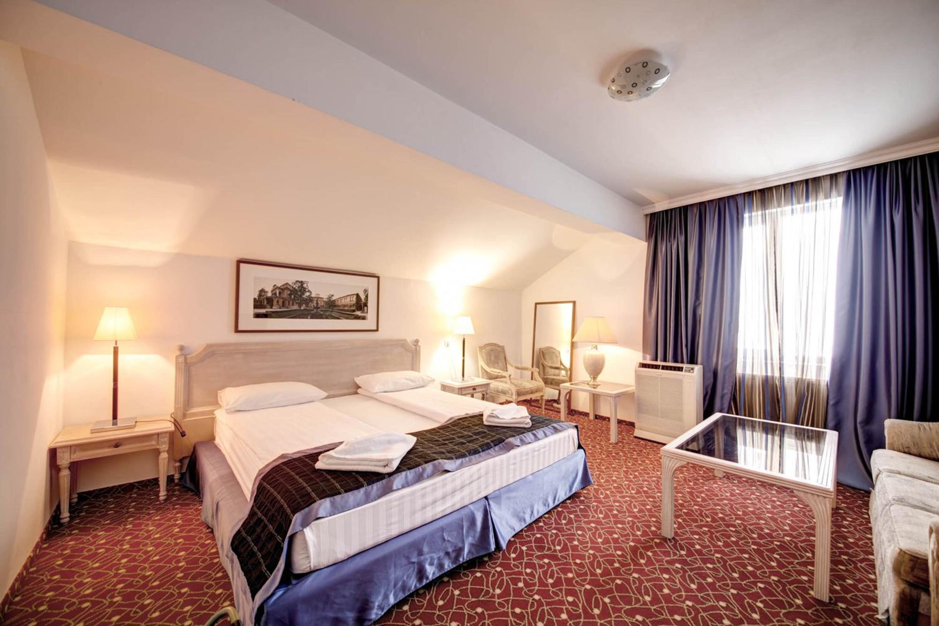 Suite - Photo 1