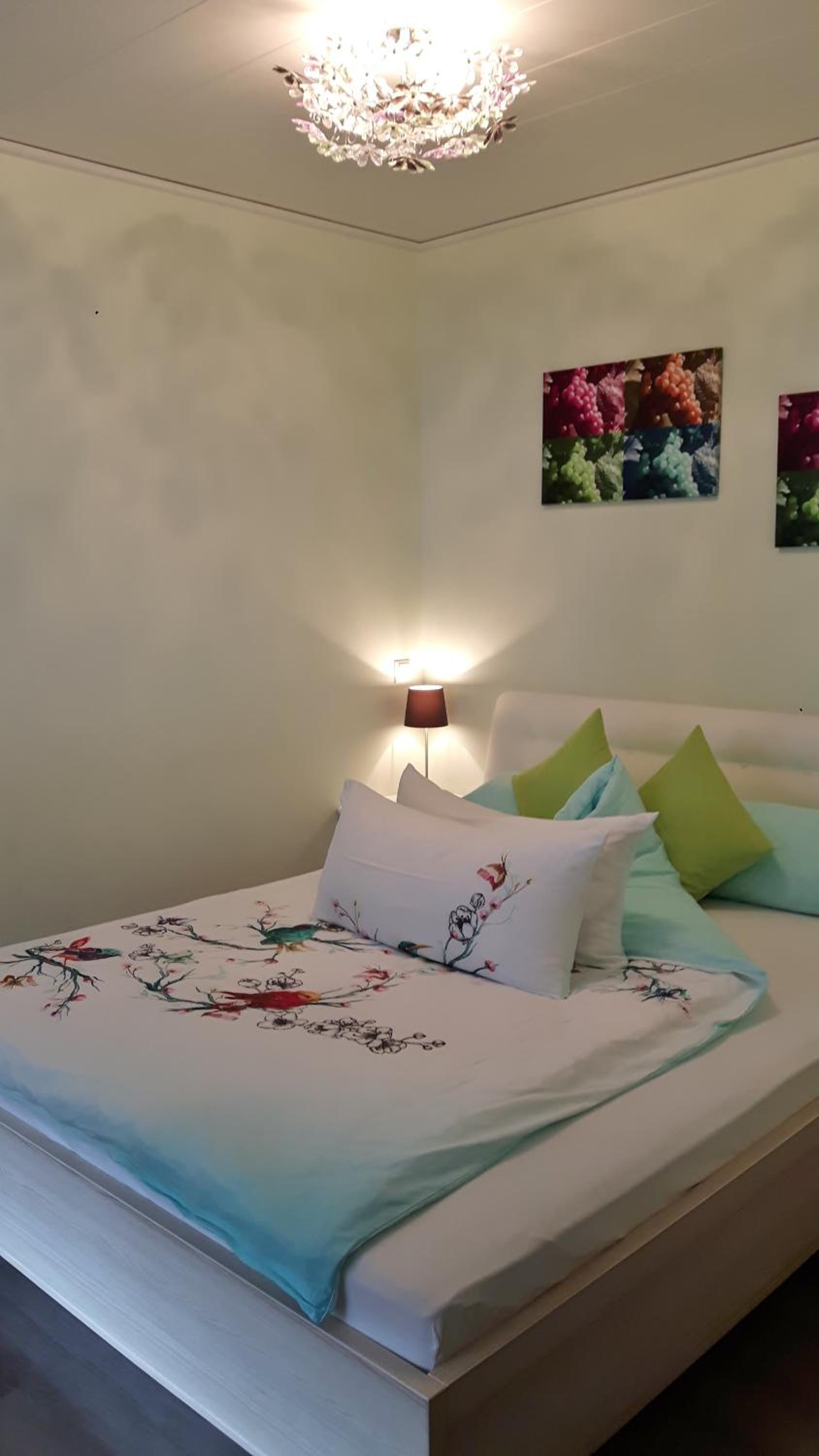 Single Room photo 2