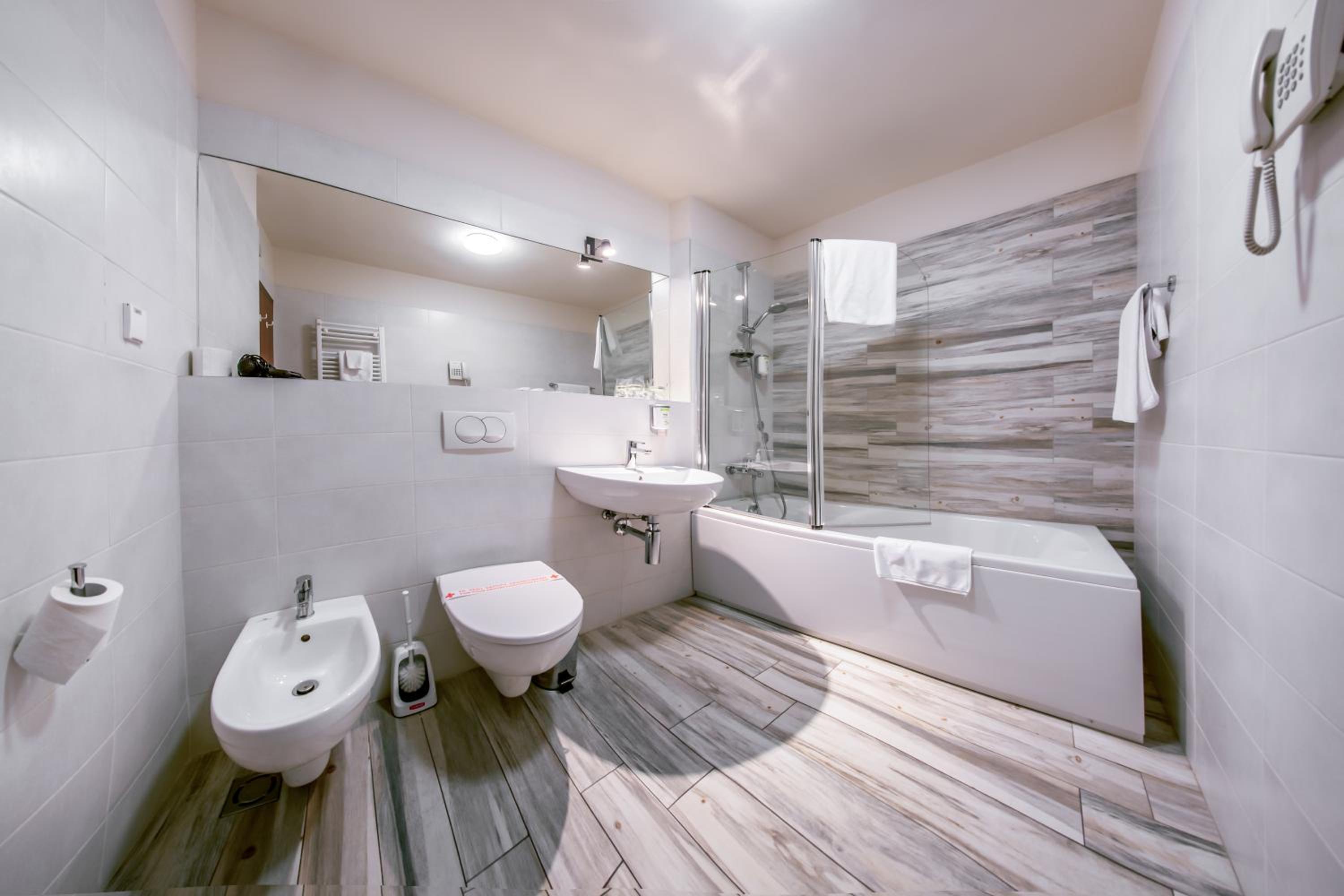One-Bedroom Apartment (3 Adults) photo 2