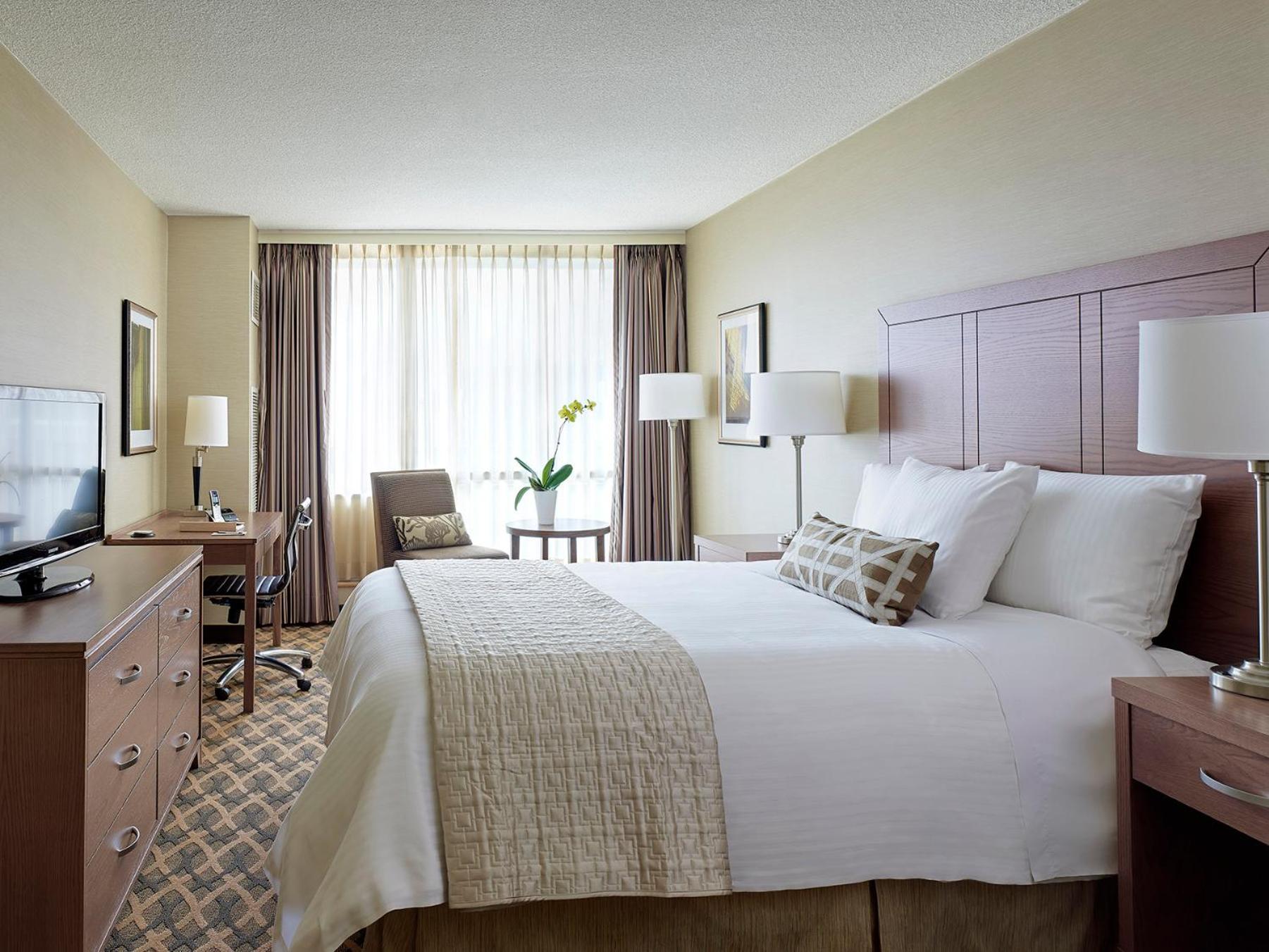 Standard Queen Room