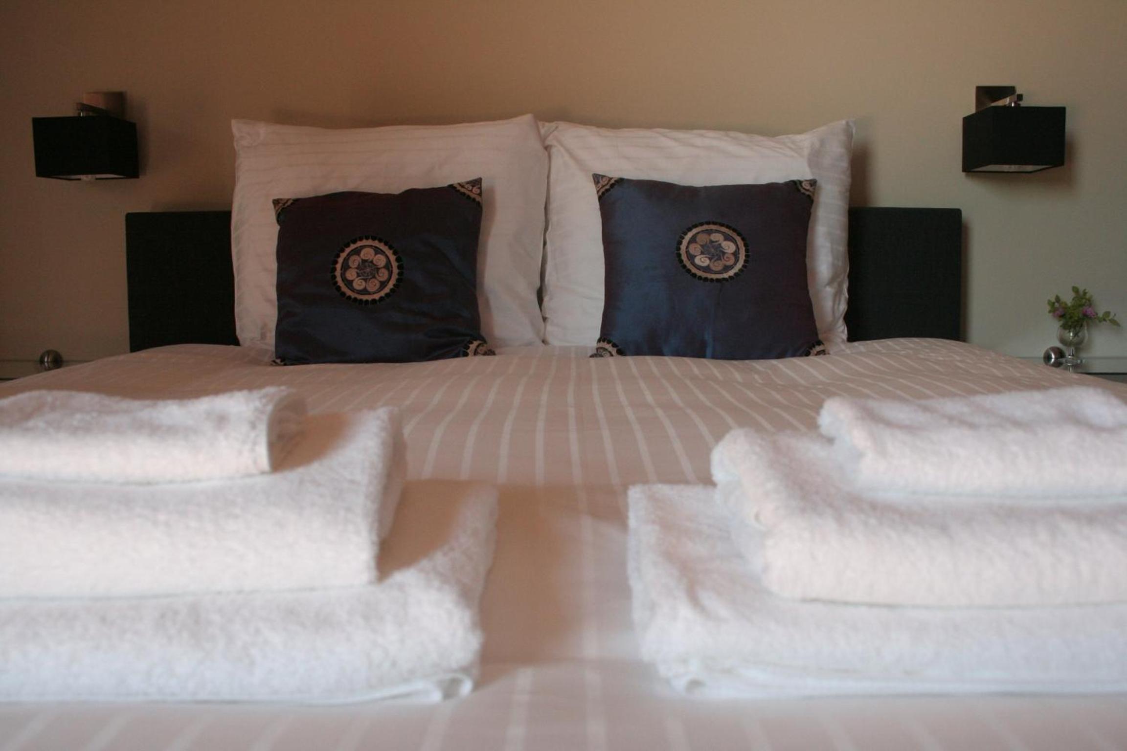 Suite - Photo 1
