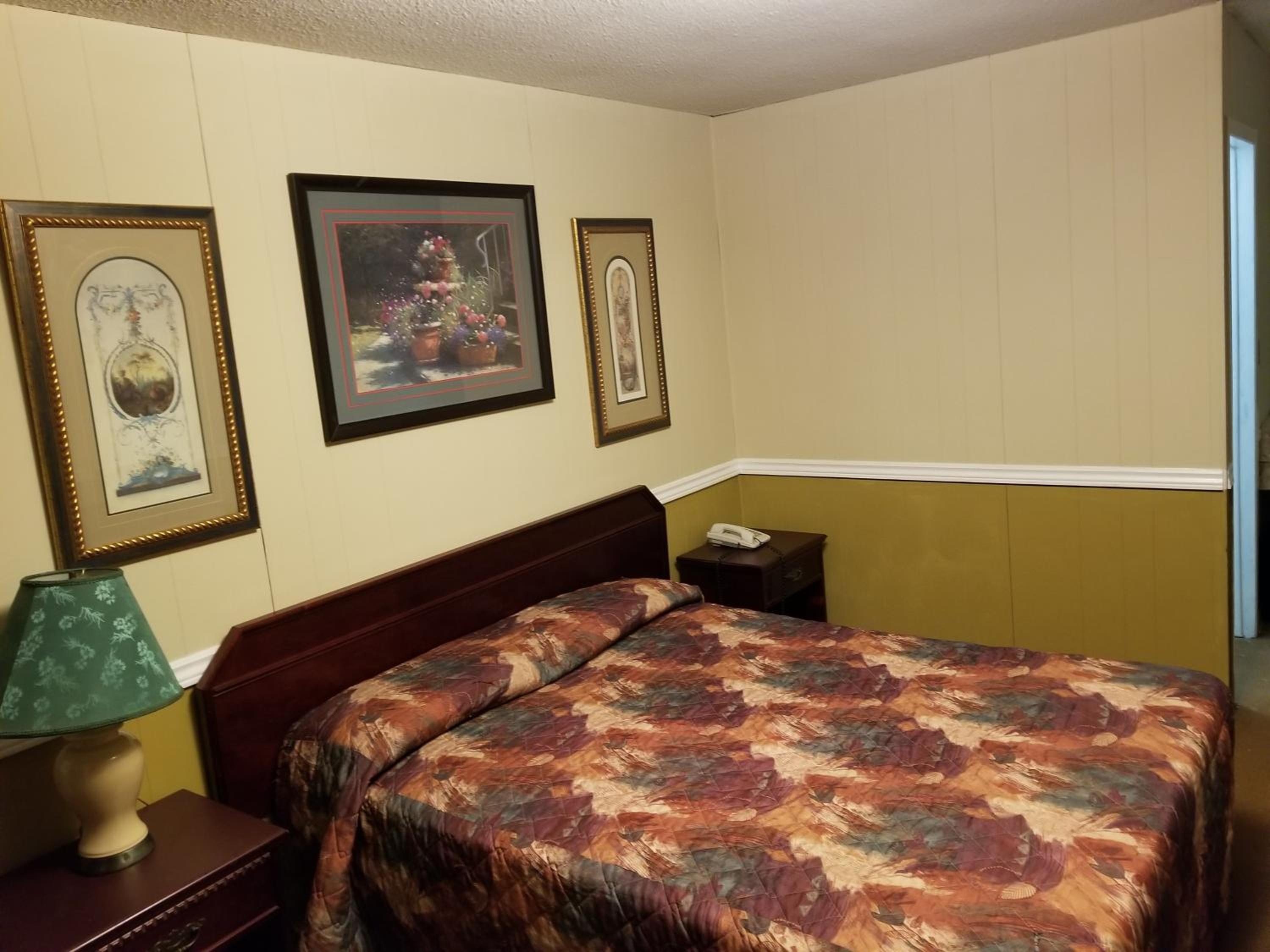 Budget Single Room photo 3