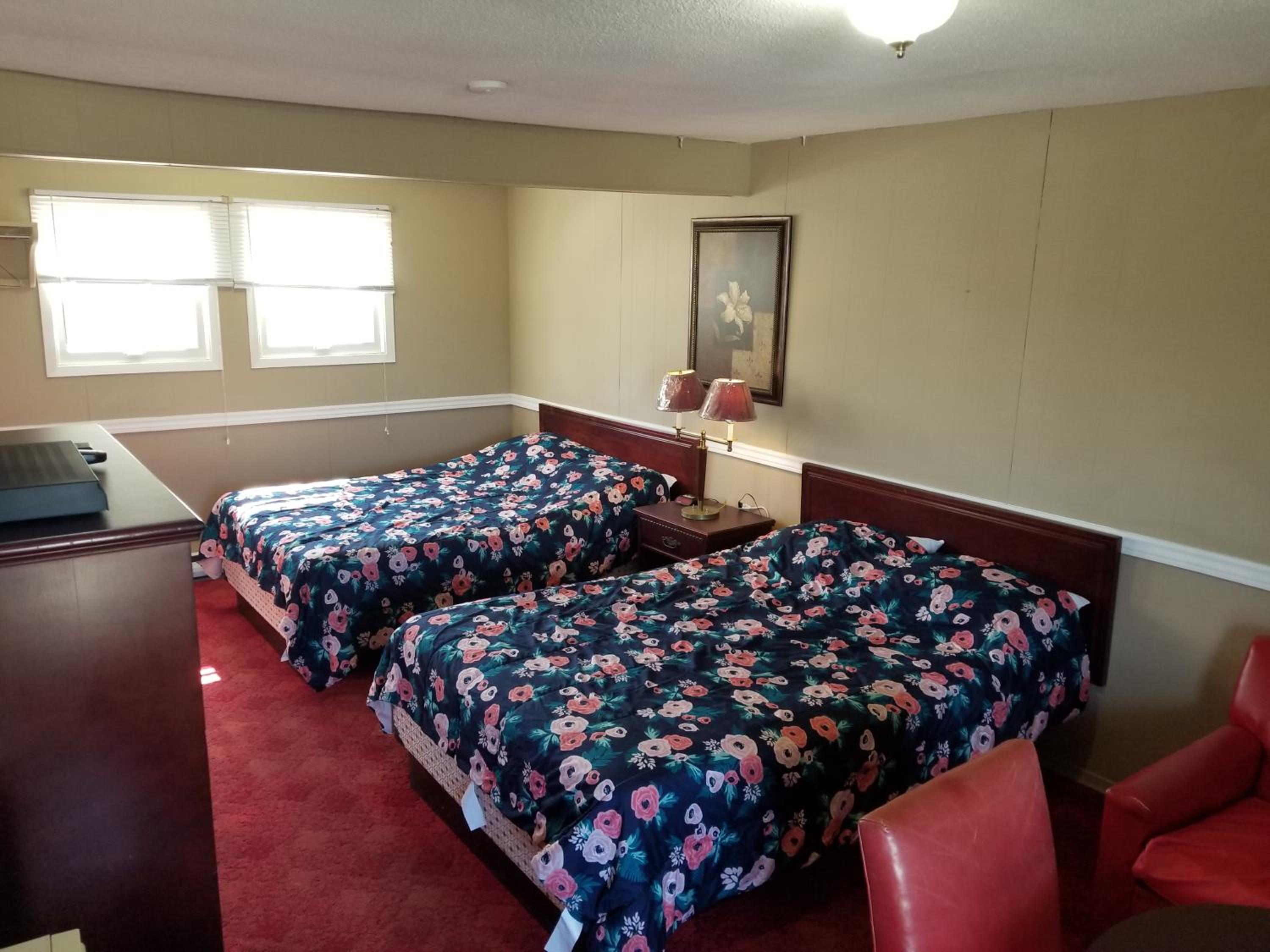 Deluxe Family Room photo 2