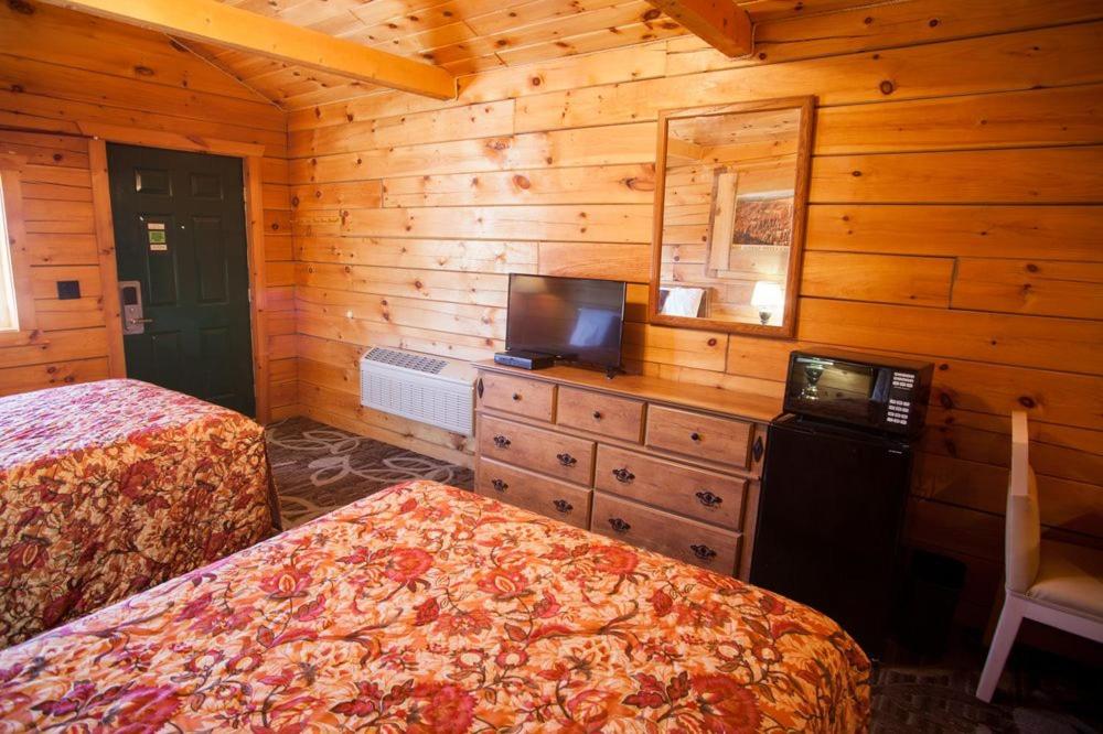 Cottage (4 Adults) photo 1