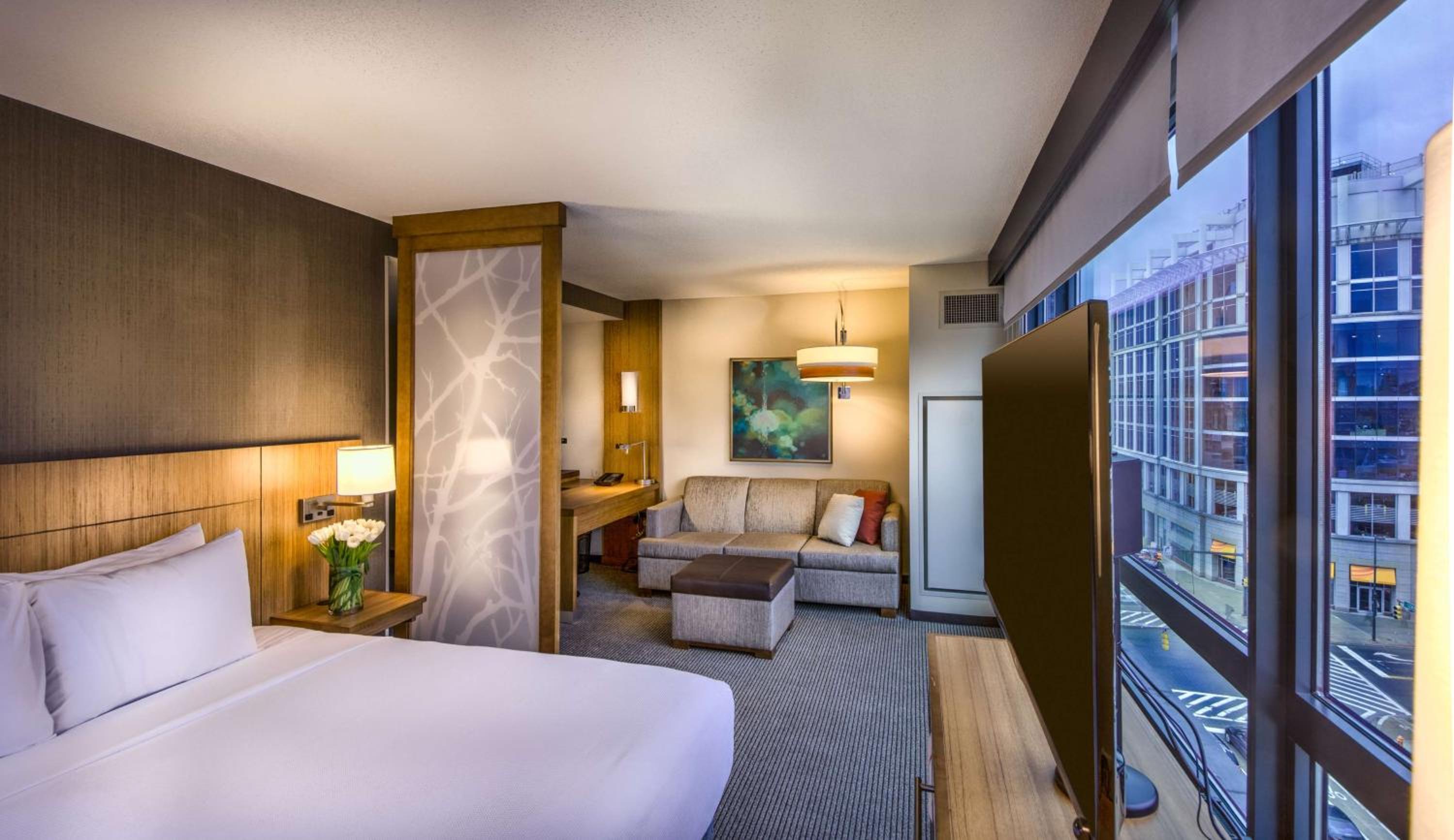 Specialty King Room with Sofa Bed
