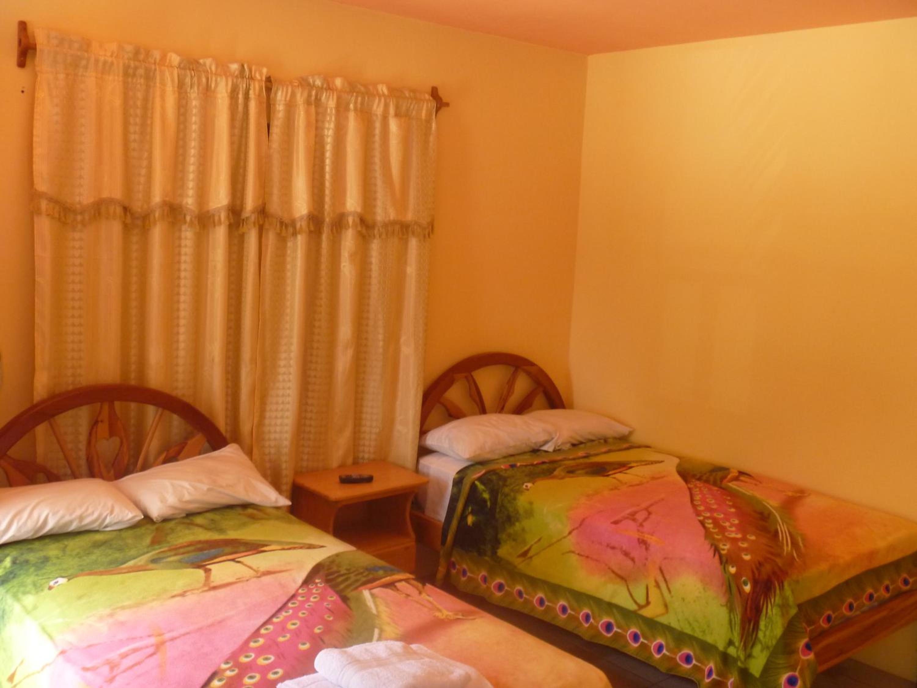 Twin Room photo 1