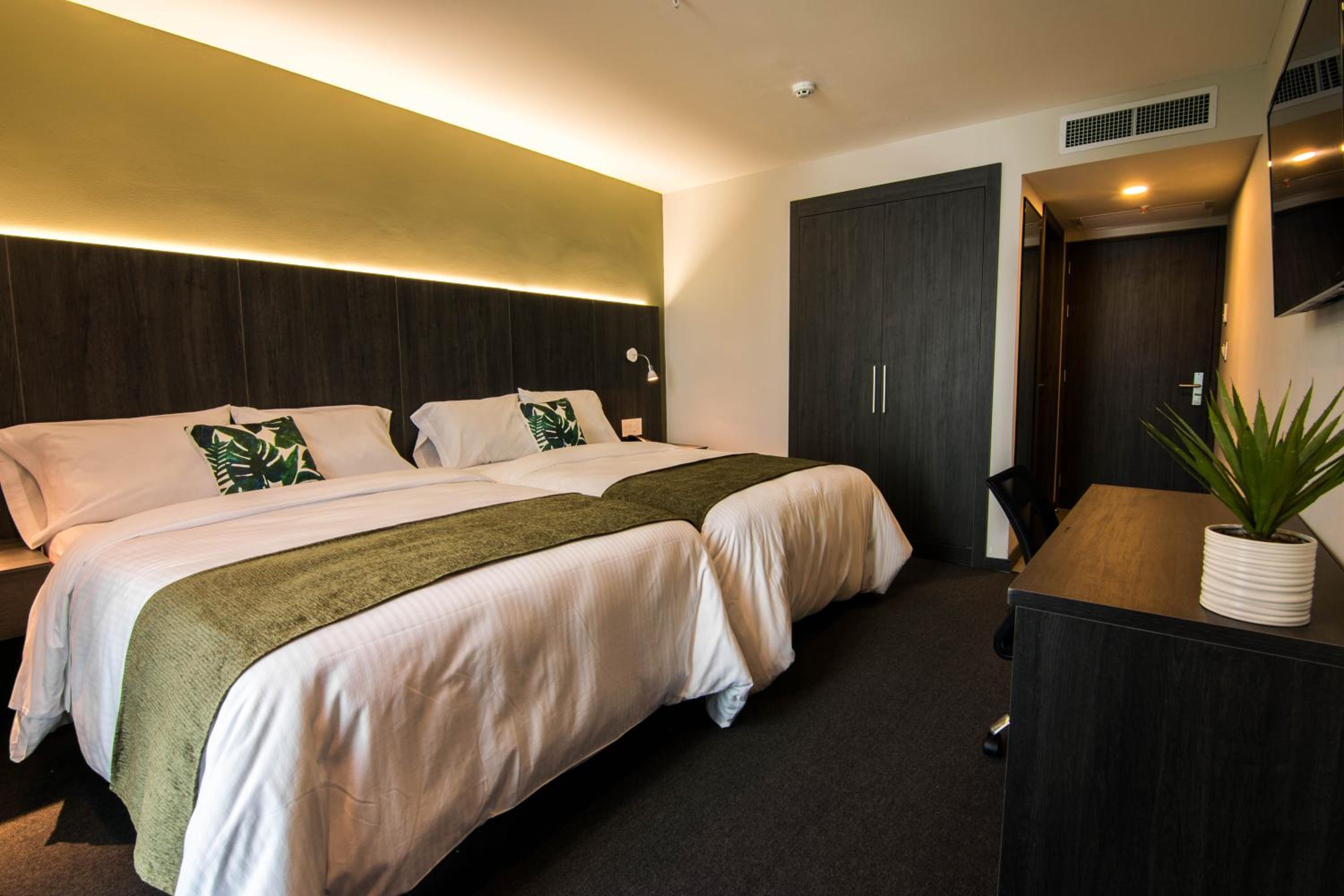 Deluxe Double Room photo 3