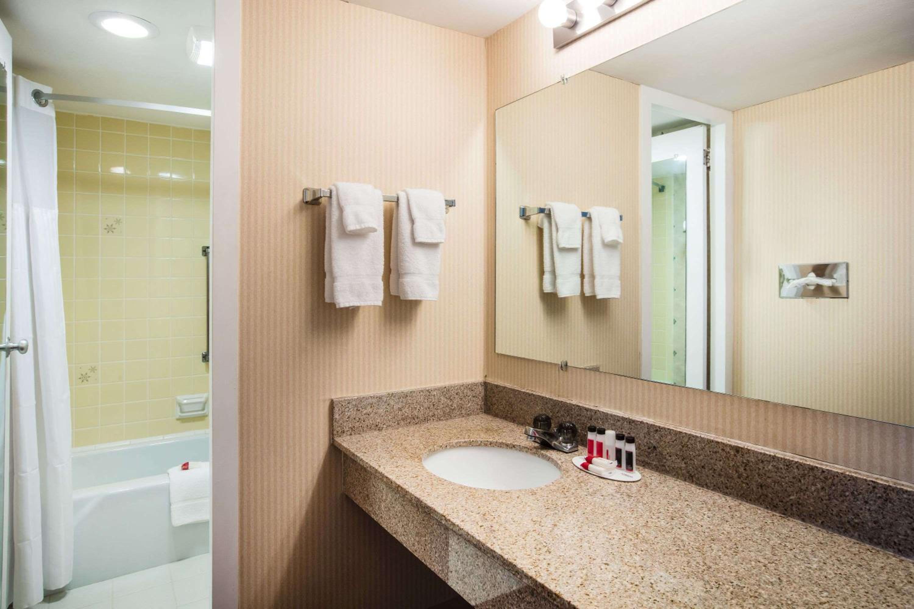 Deluxe One-Bedroom King Suite - Non-Smoking photo 2