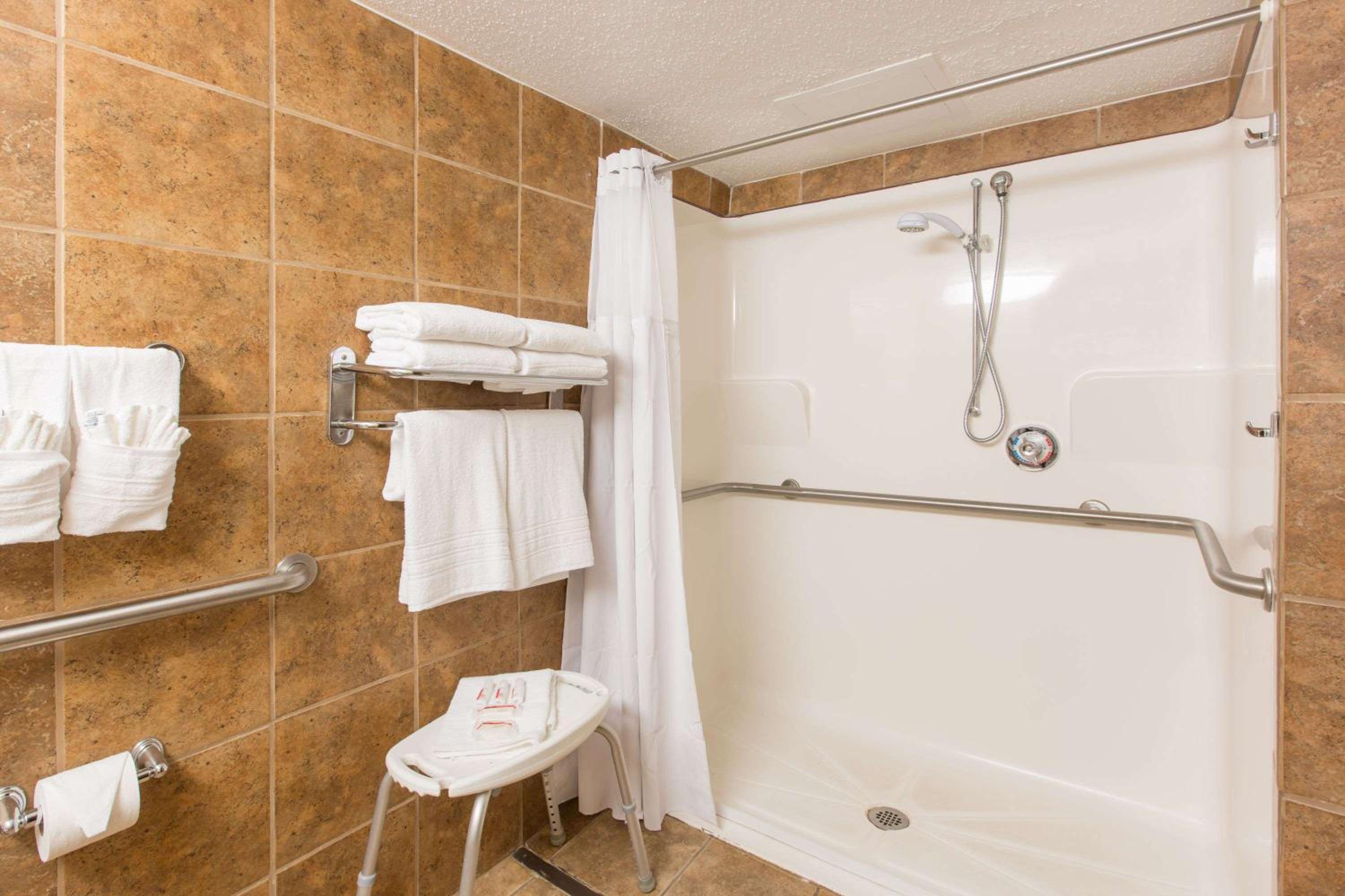 One-Bedroom Queen Suite - Mobility Access/Non-Smoking - Photo 7