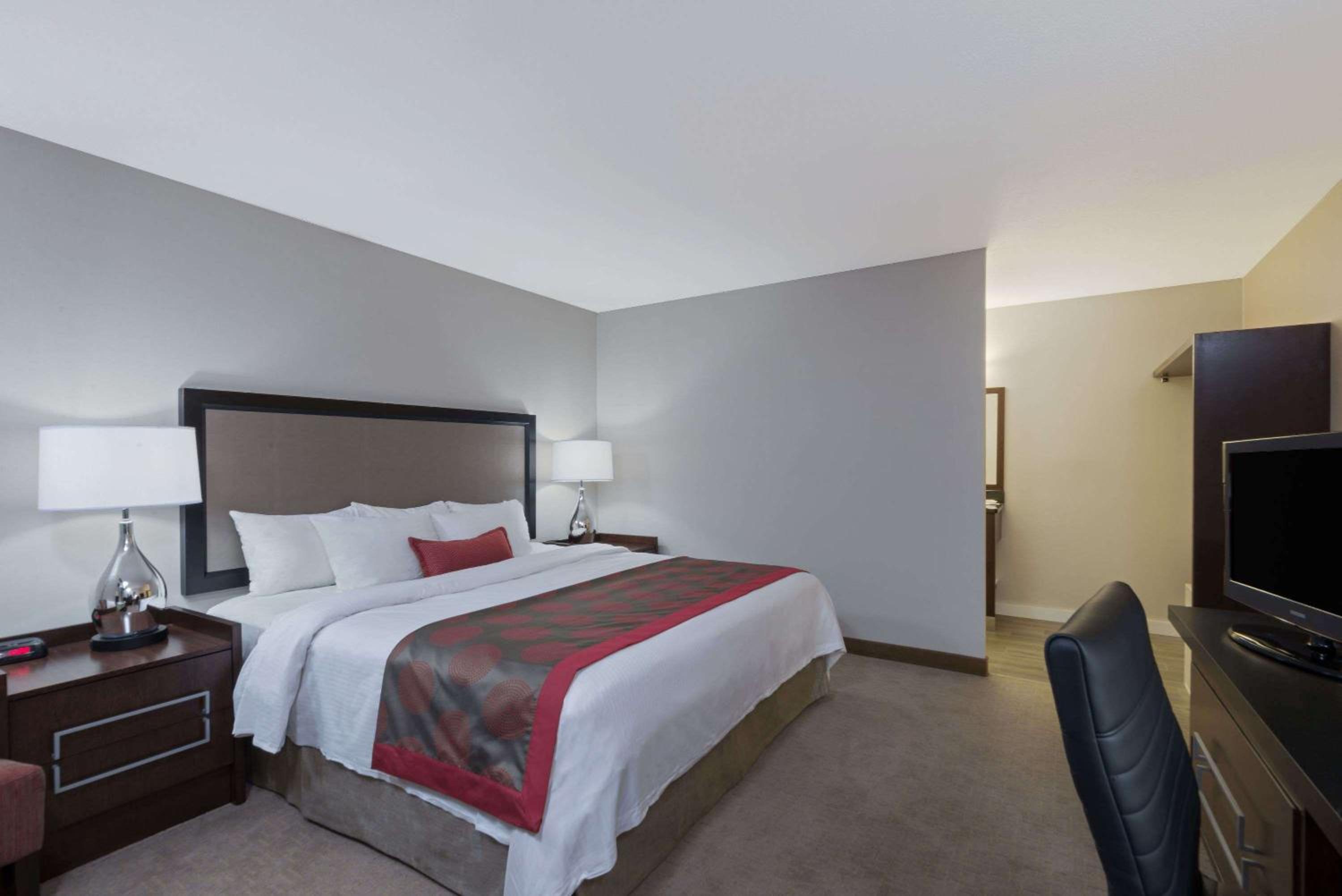 King Room - Non-Smoking