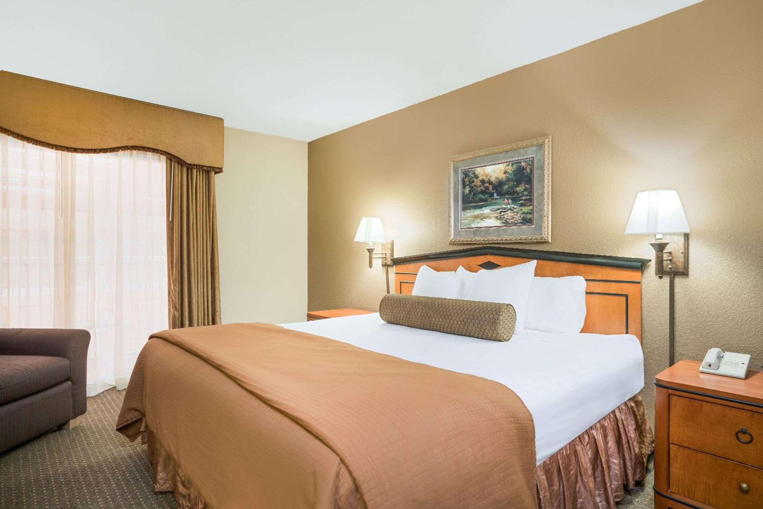 Business King Suite - Photo 8