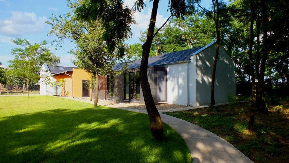 Superior Villa photo 3