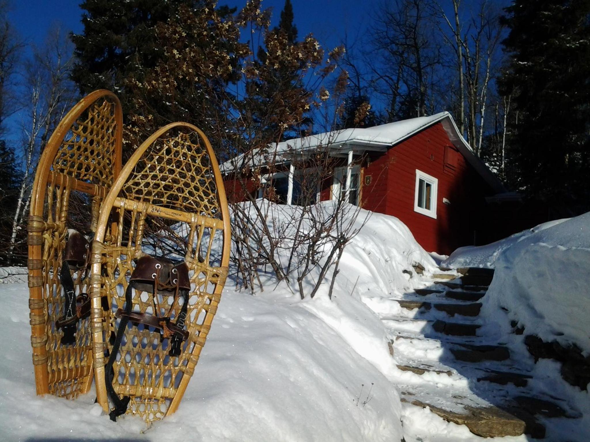Chalet photo 1