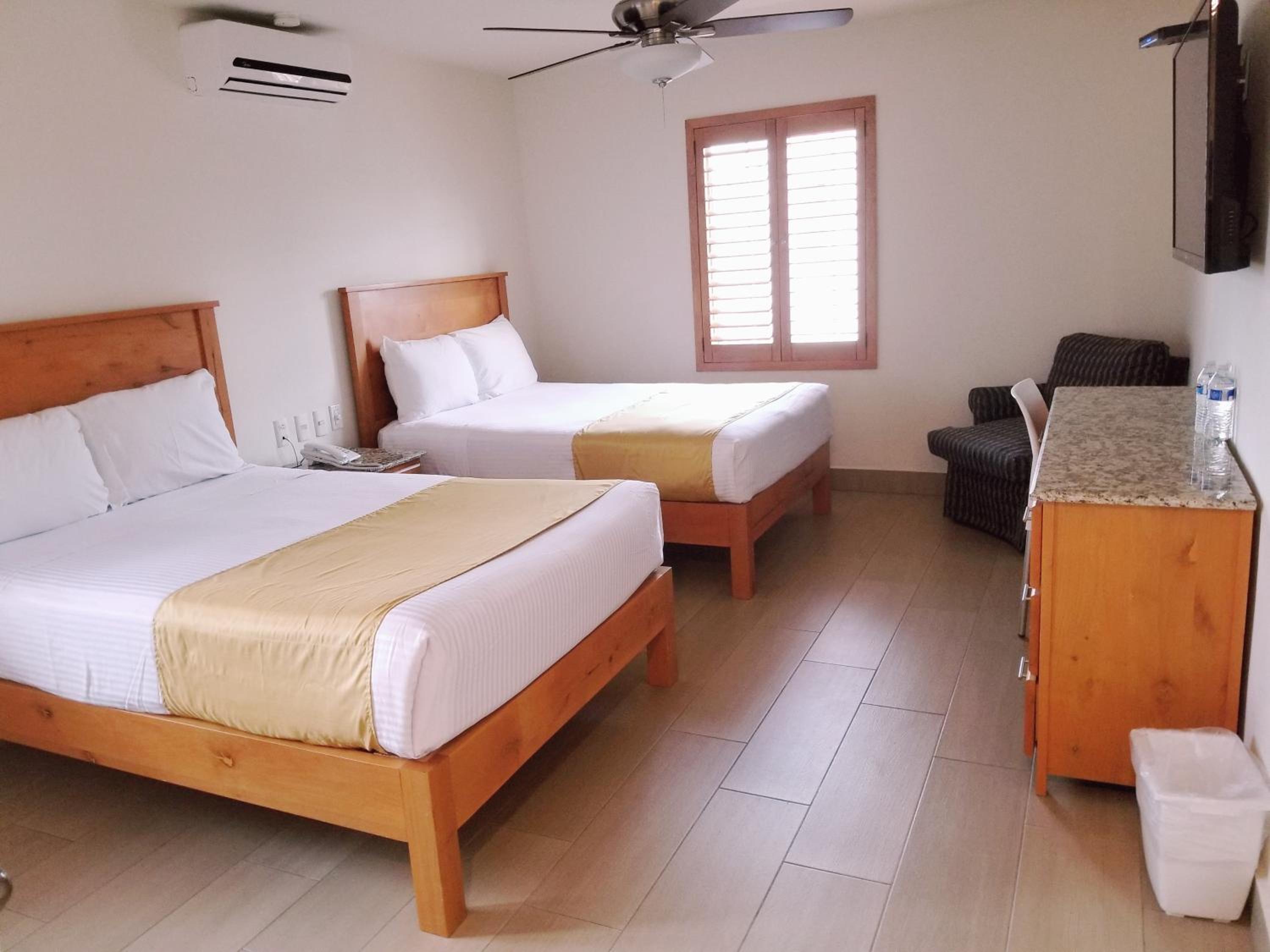 Twin Room photo 2