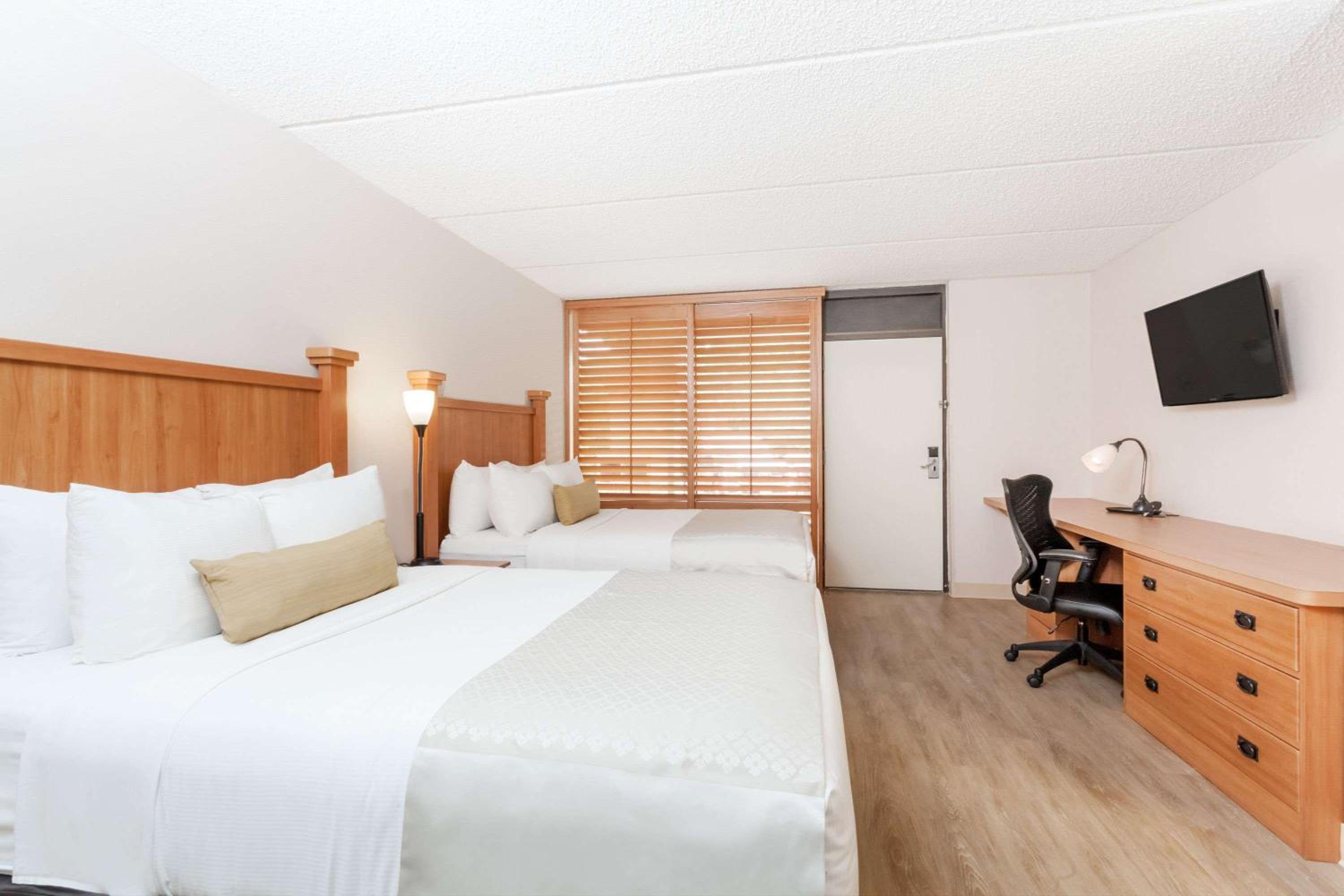 2 Double Beds Casita Suite - Photo 1