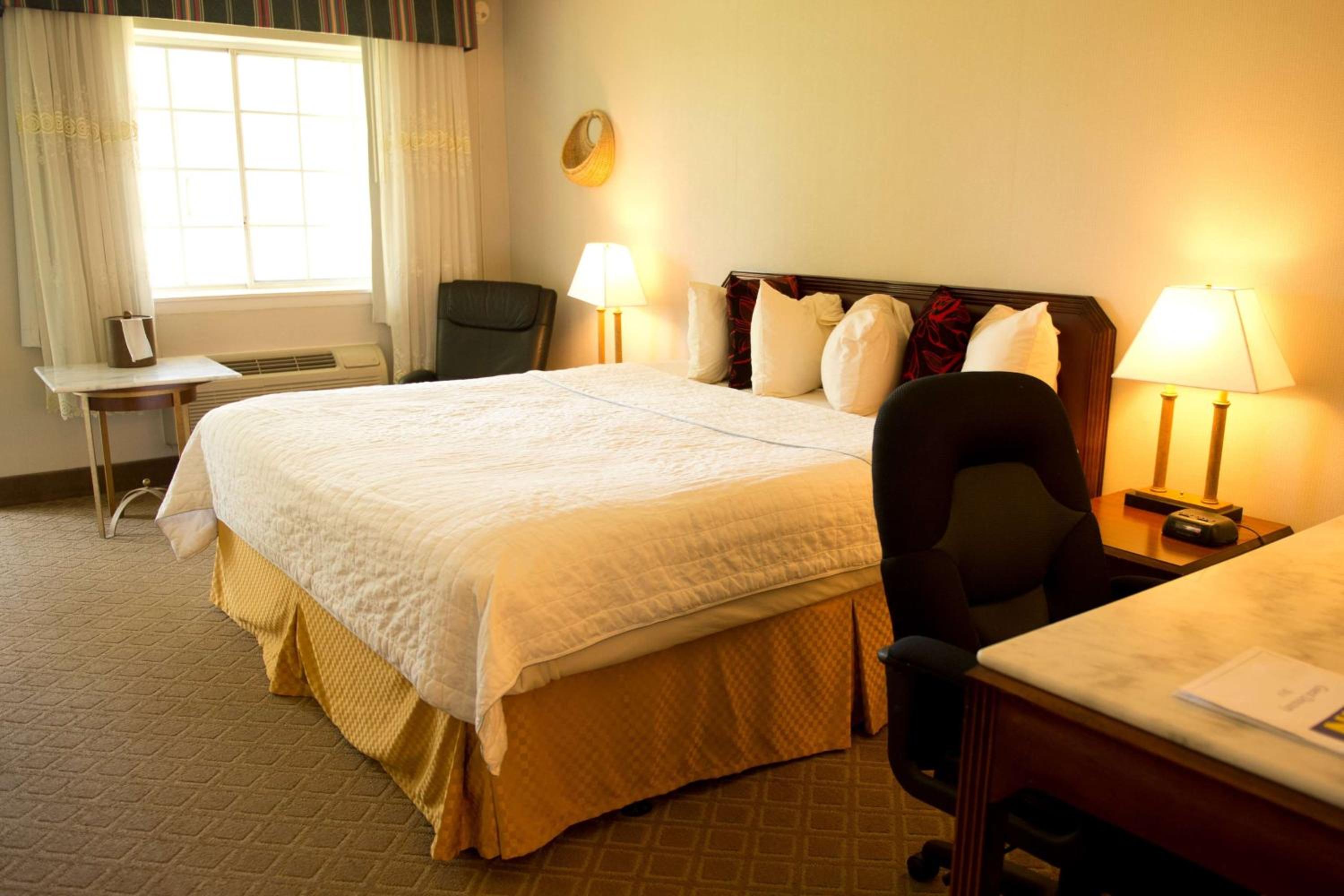 King Room - Non-Smoking - Photo 5