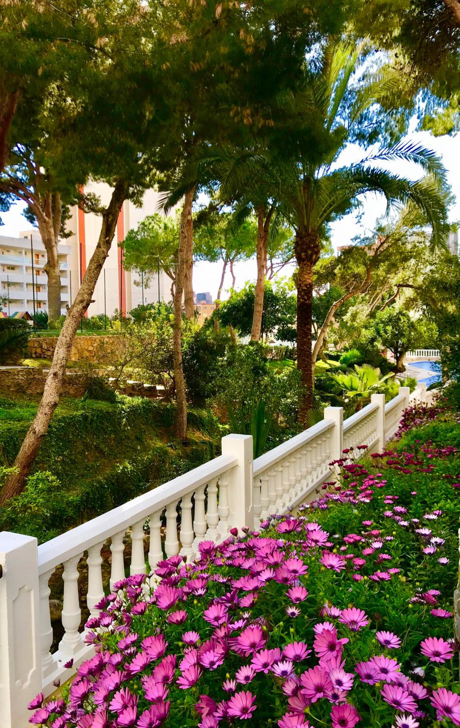 Apartment with Garden View - Photo 17