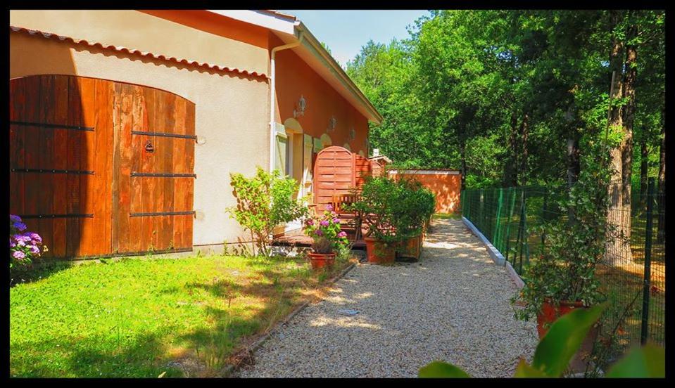 Studio with Garden View photo 1