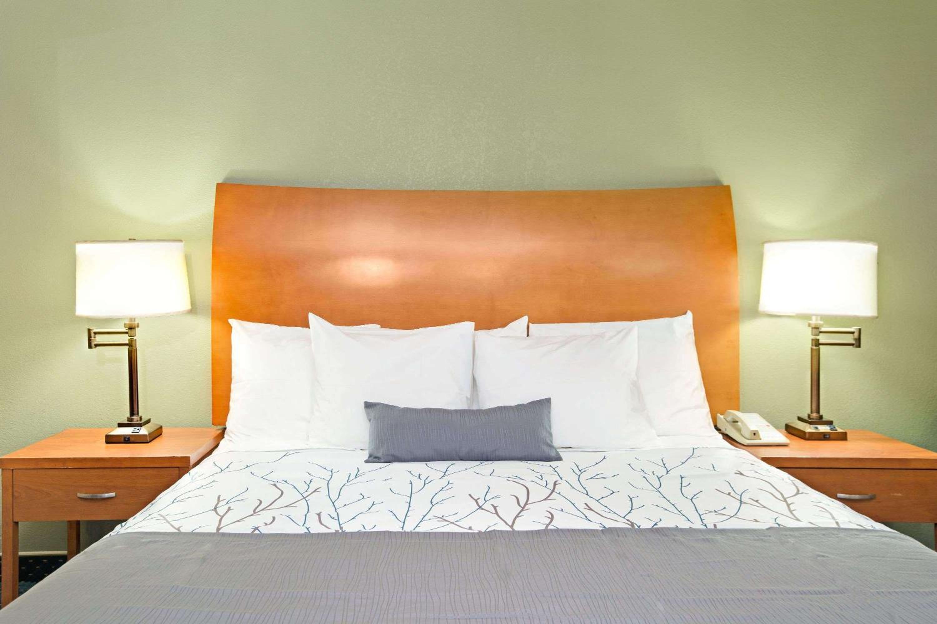 Queen Room with Two Queen Beds - Non-Smoking - Photo 3