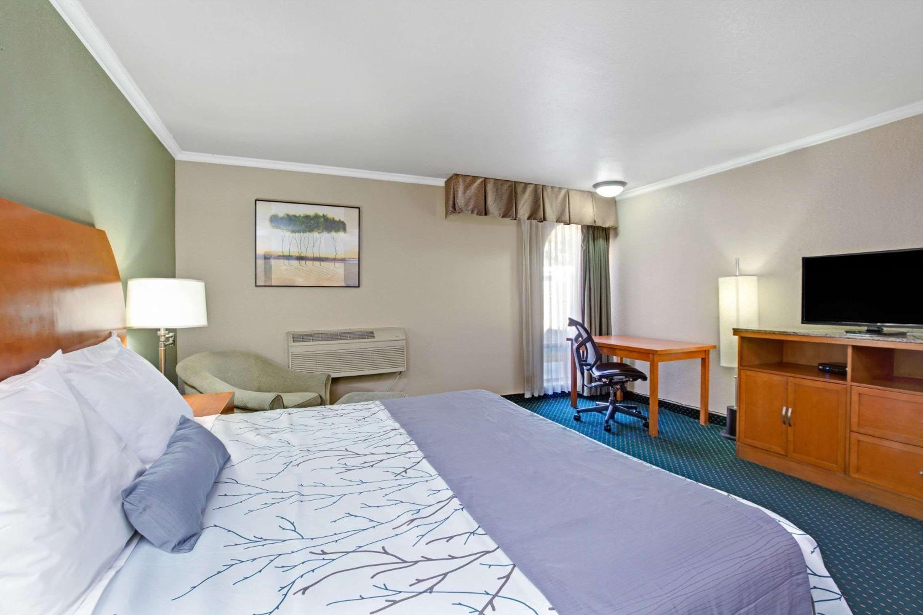 Queen Room - Non-Smoking - Photo 15