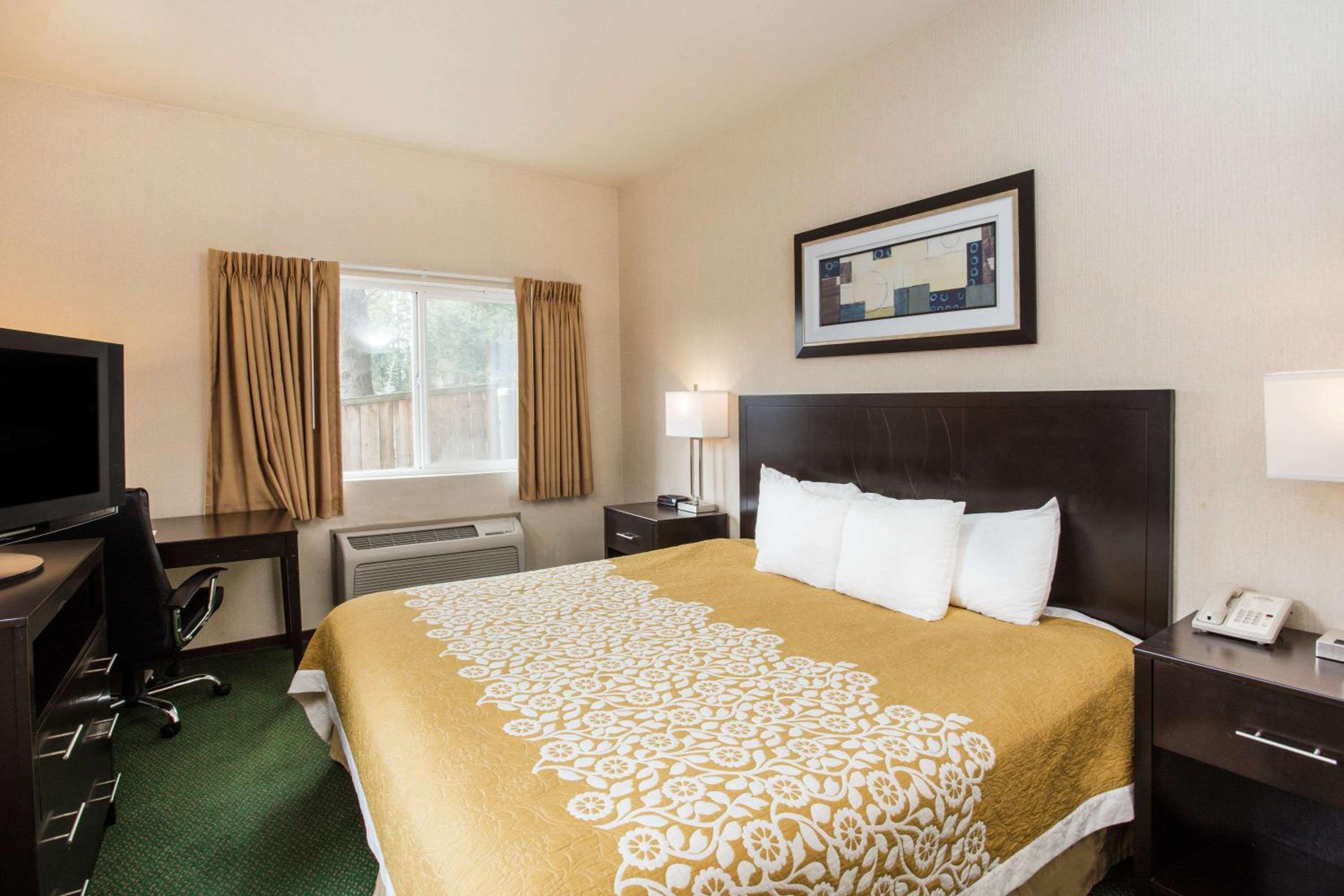 Deluxe King Suite - Photo 1