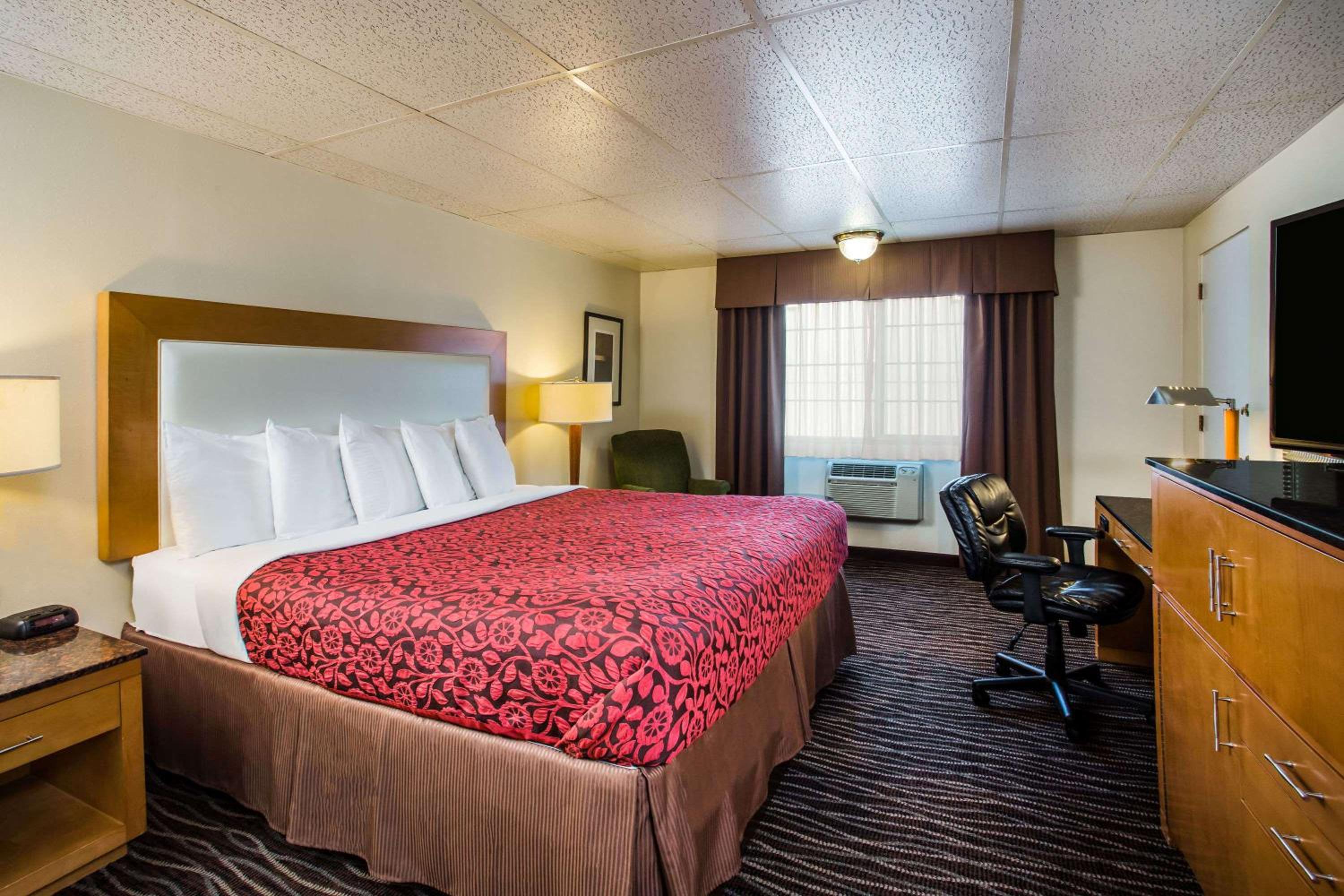 King Room - Non-Smoking - Photo 4