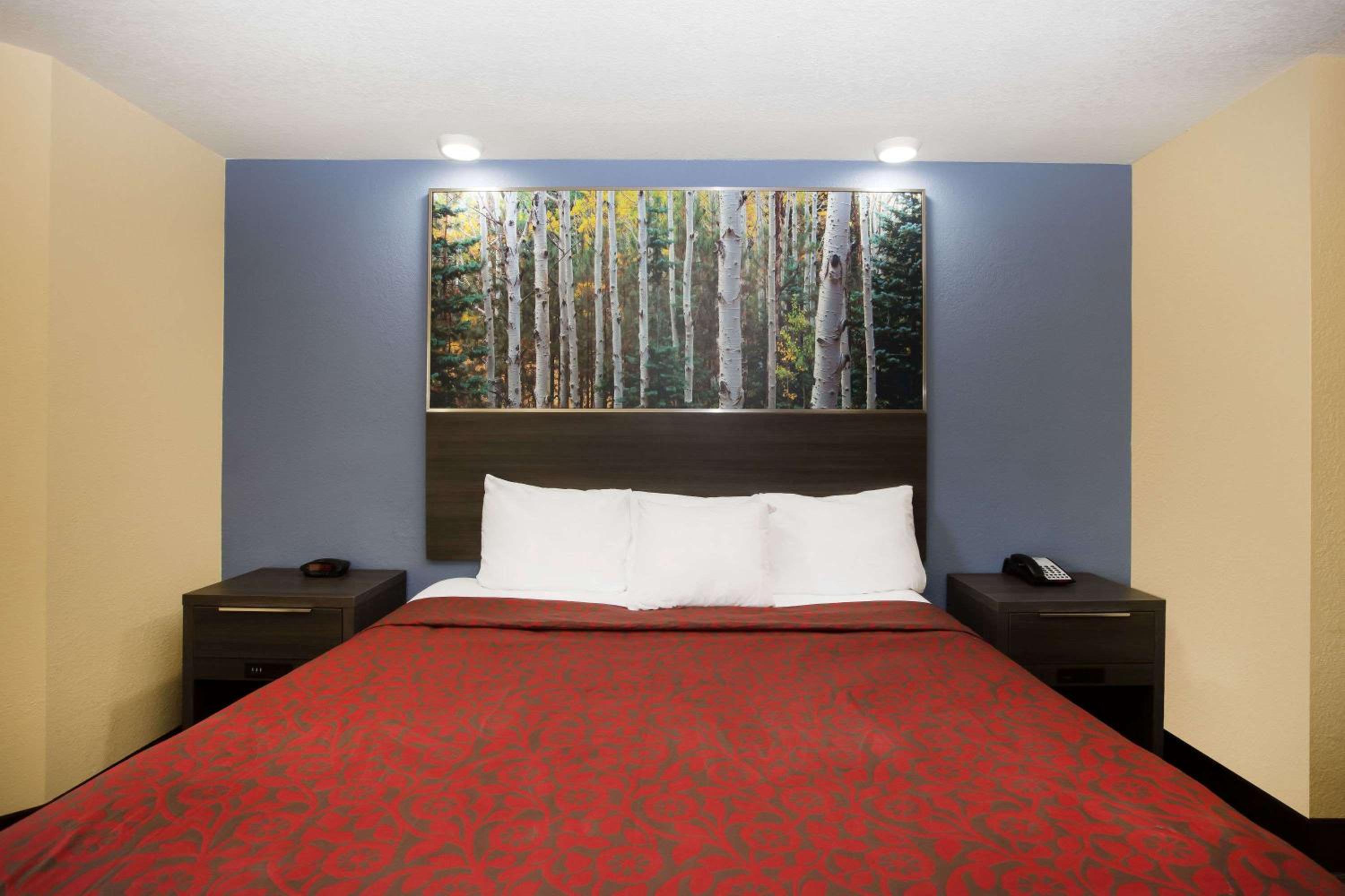 King Room - Non-Smoking - Photo 4