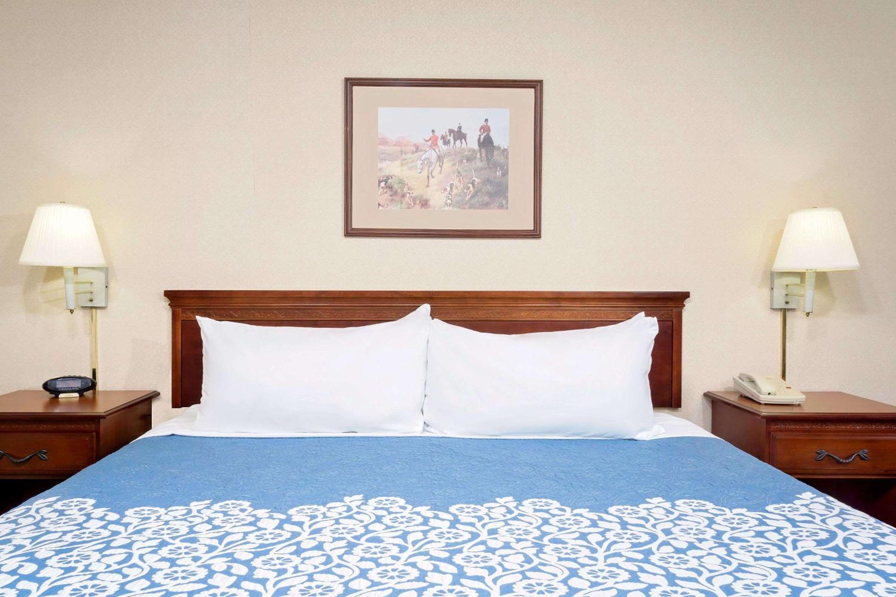 King Room - Disability Access photo 3