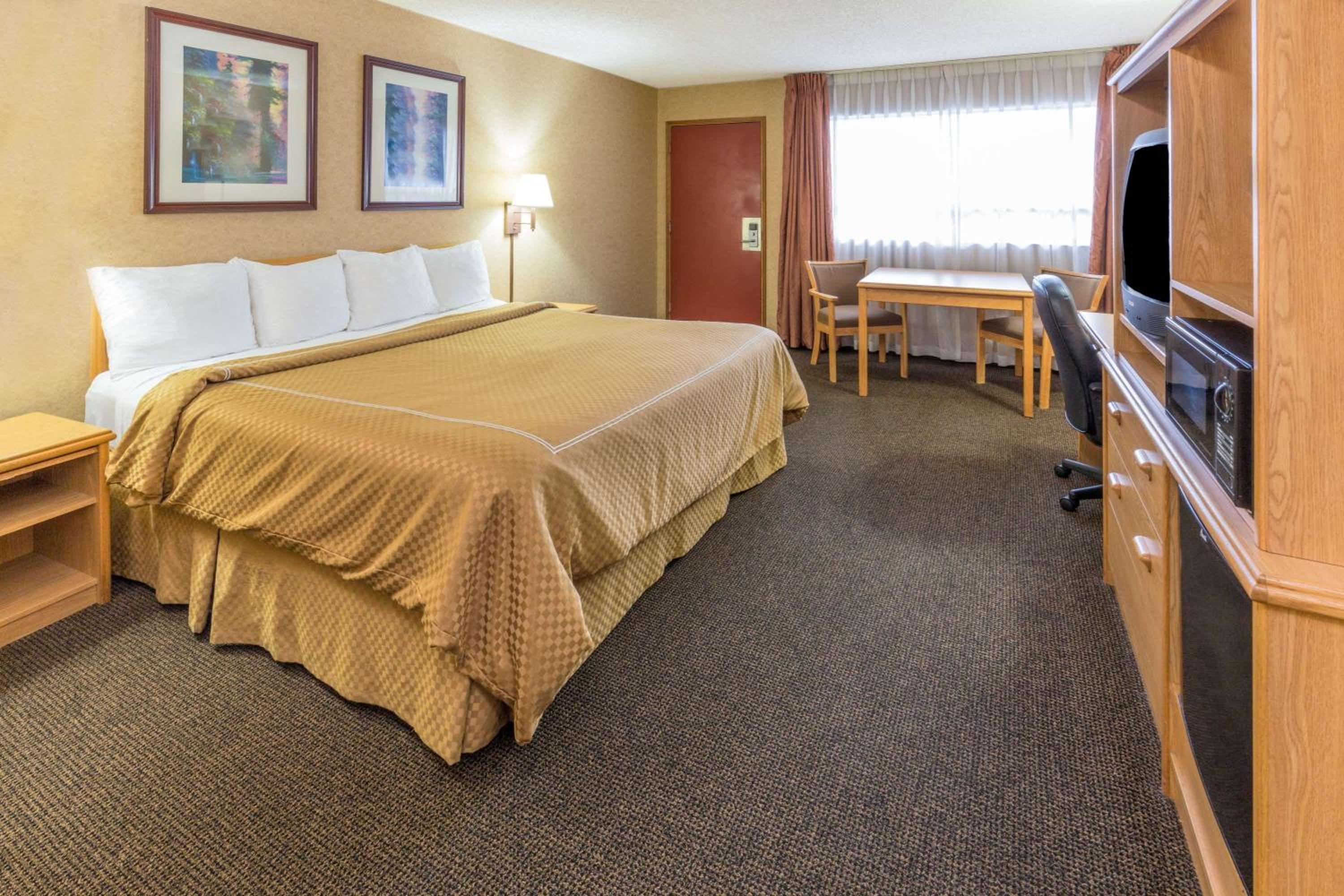 King Room - Pet Friendly/Non-Smoking - Photo 3